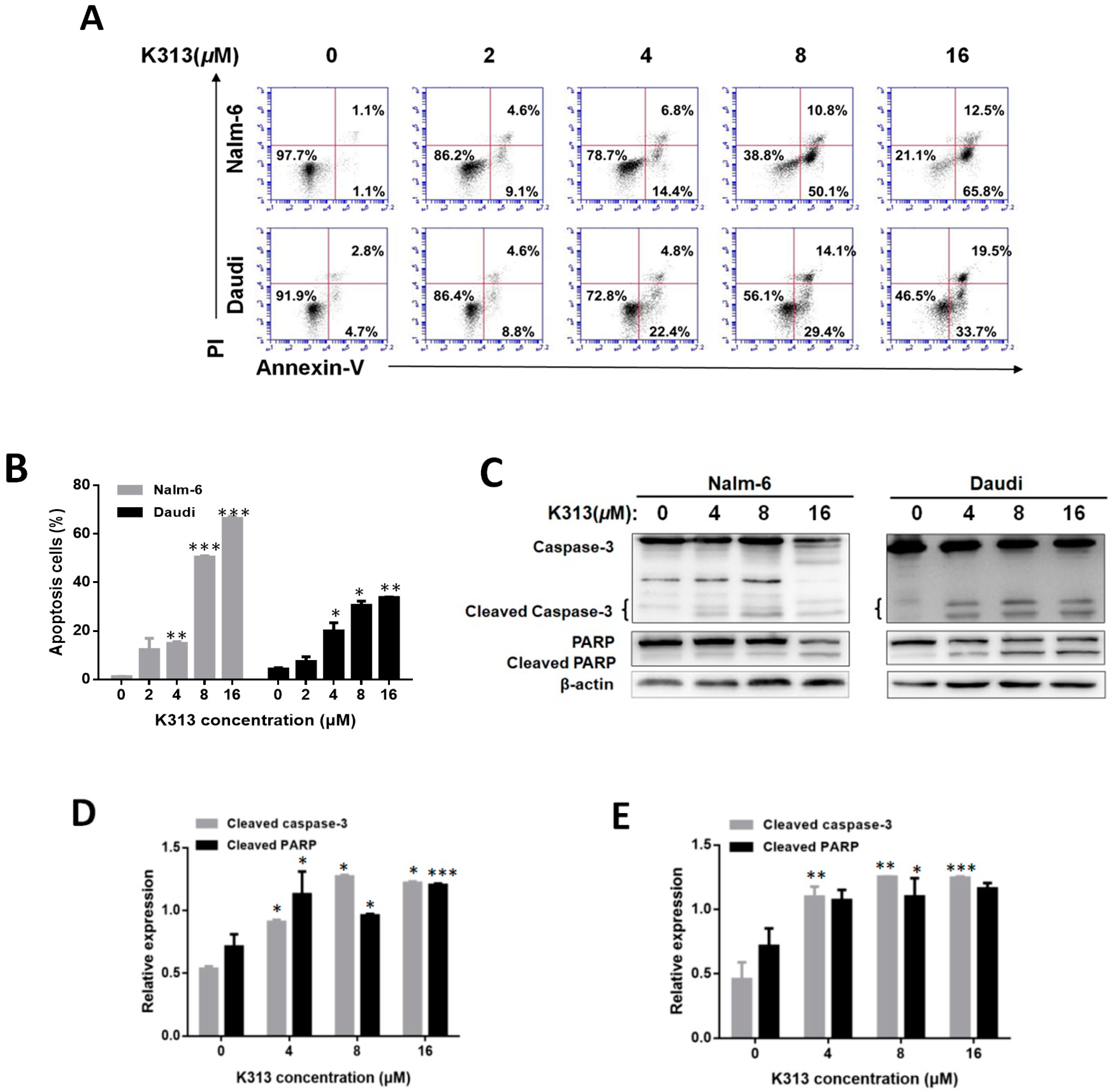 Molecules 25 00971 g003a Molecules 25 00971 g003a