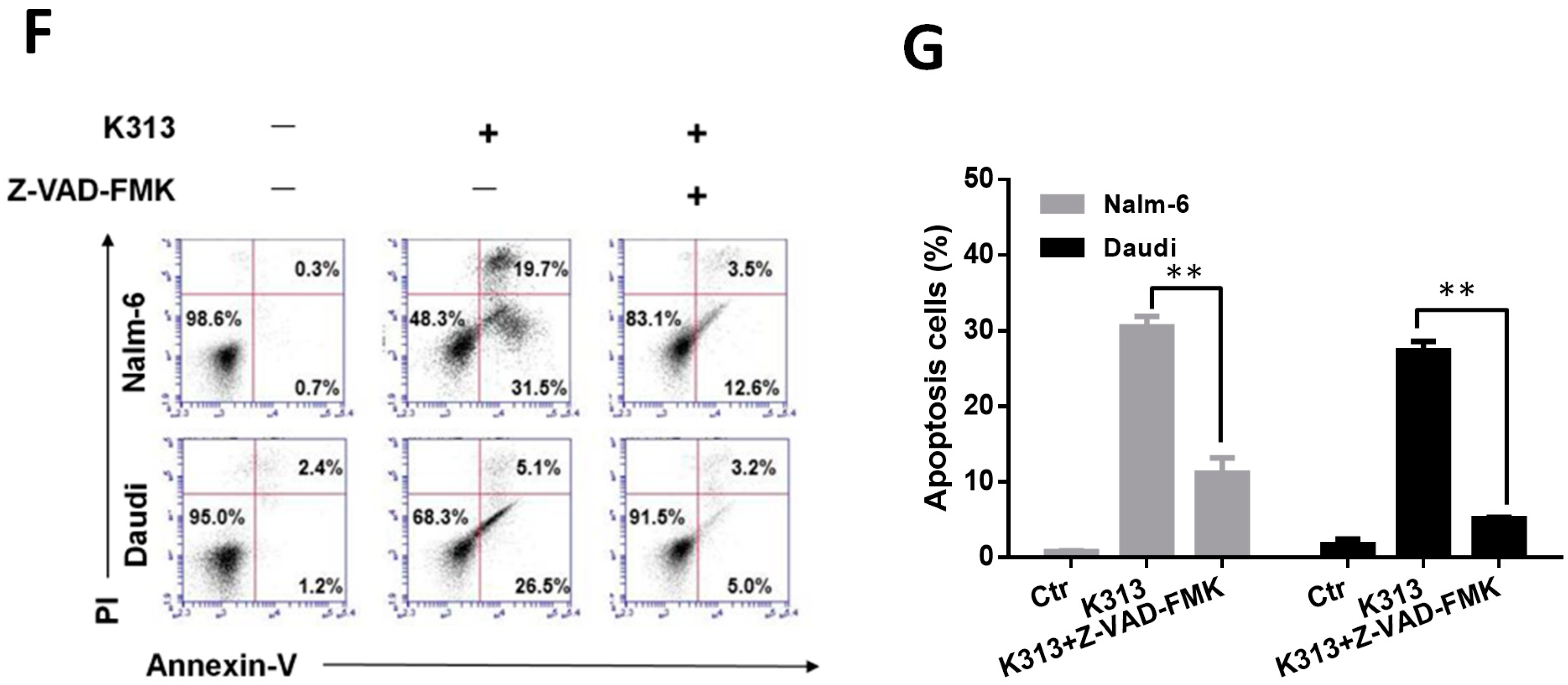 Molecules 25 00971 g003b Molecules 25 00971 g003b