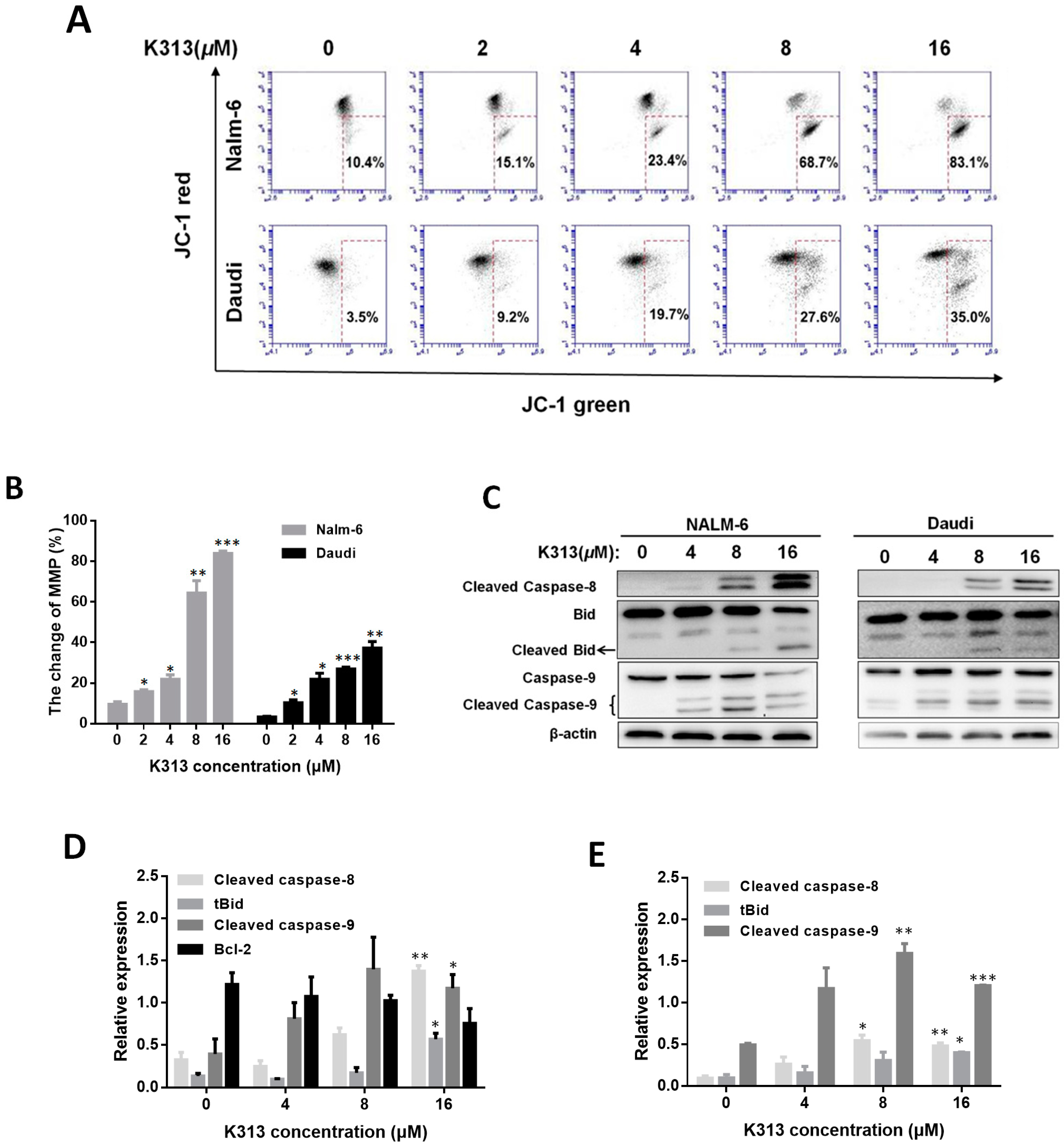 Molecules 25 00971 g004 Molecules 25 00971 g004