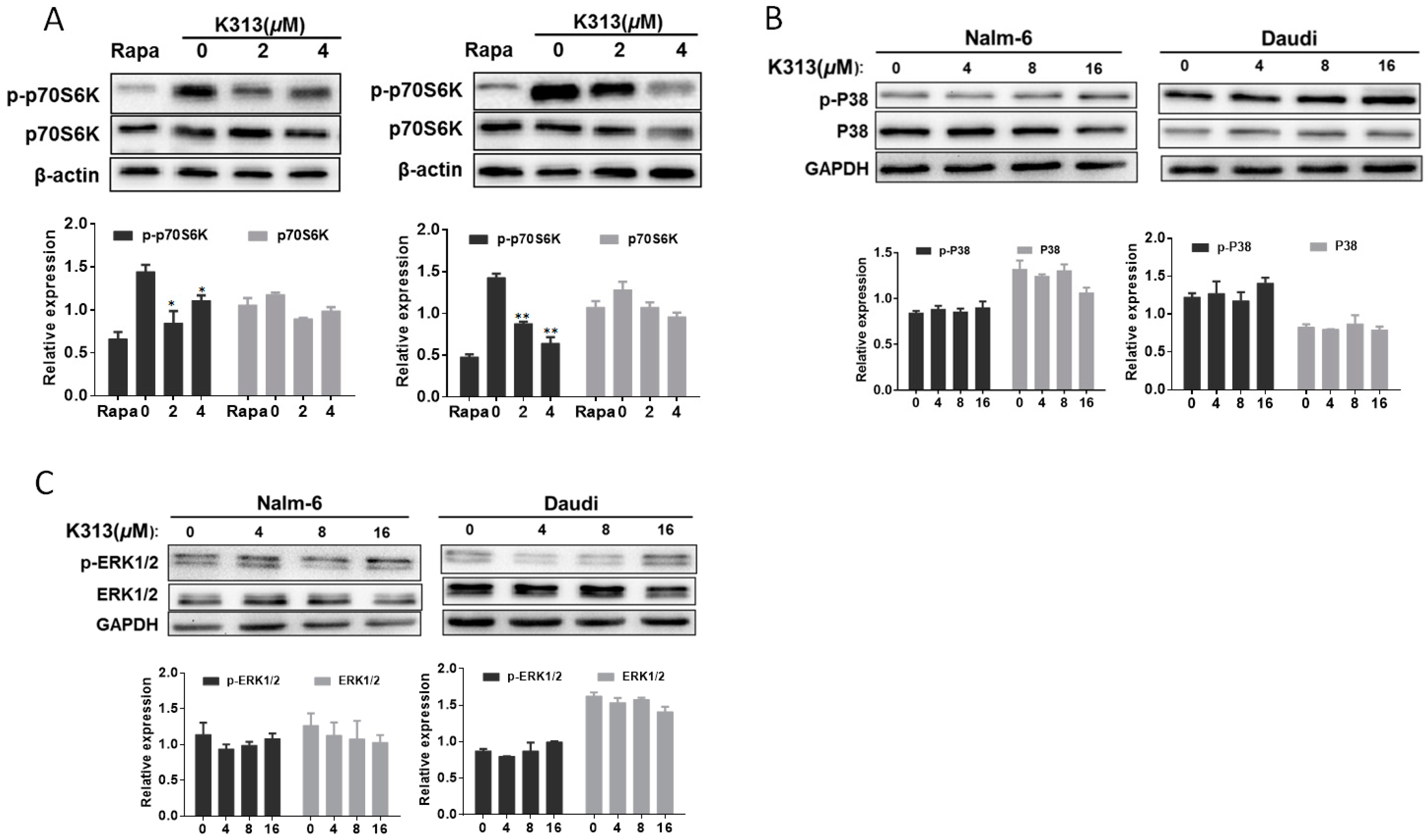 Molecules 25 00971 g005 Molecules 25 00971 g005