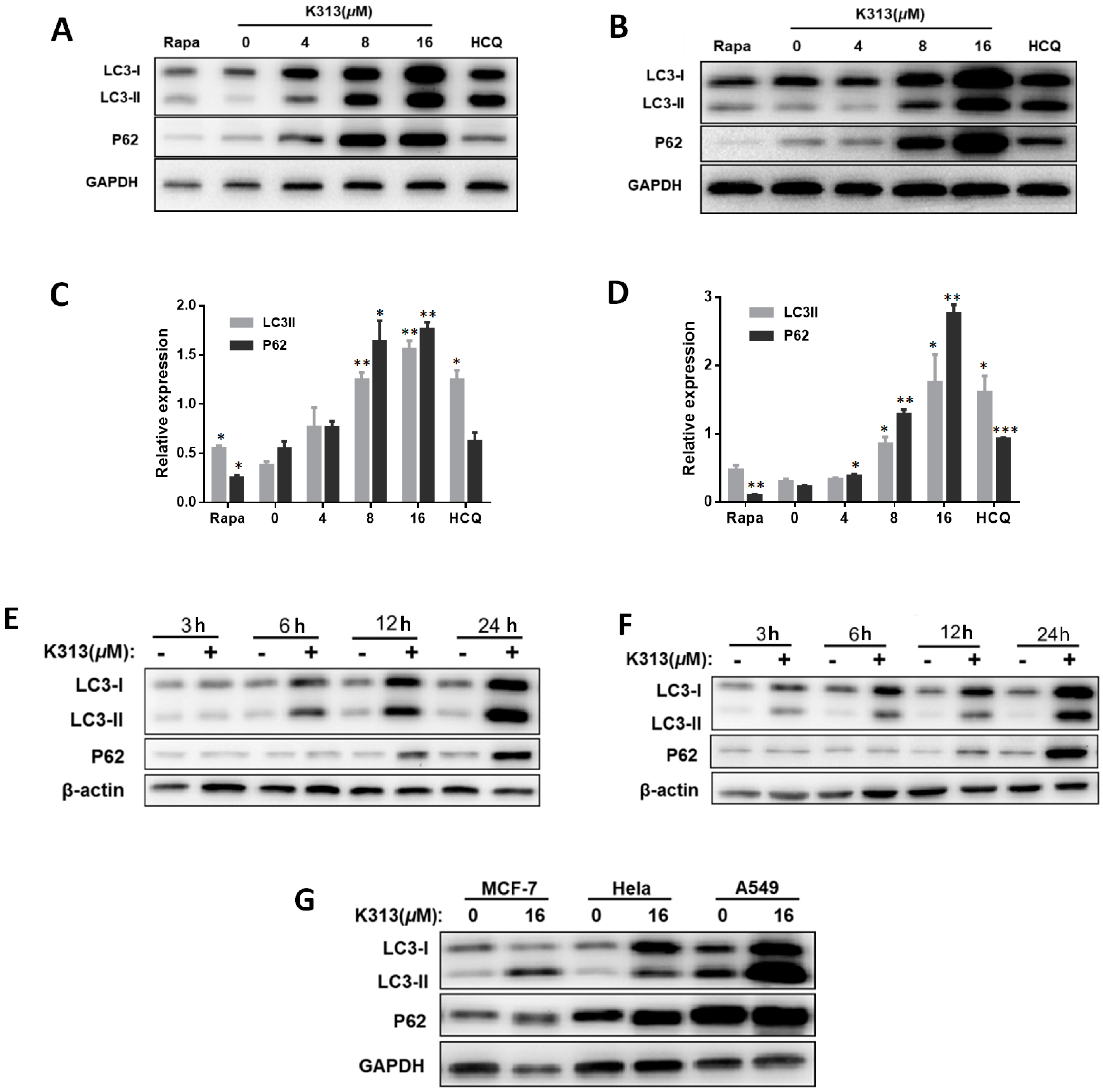 Molecules 25 00971 g006 Molecules 25 00971 g006