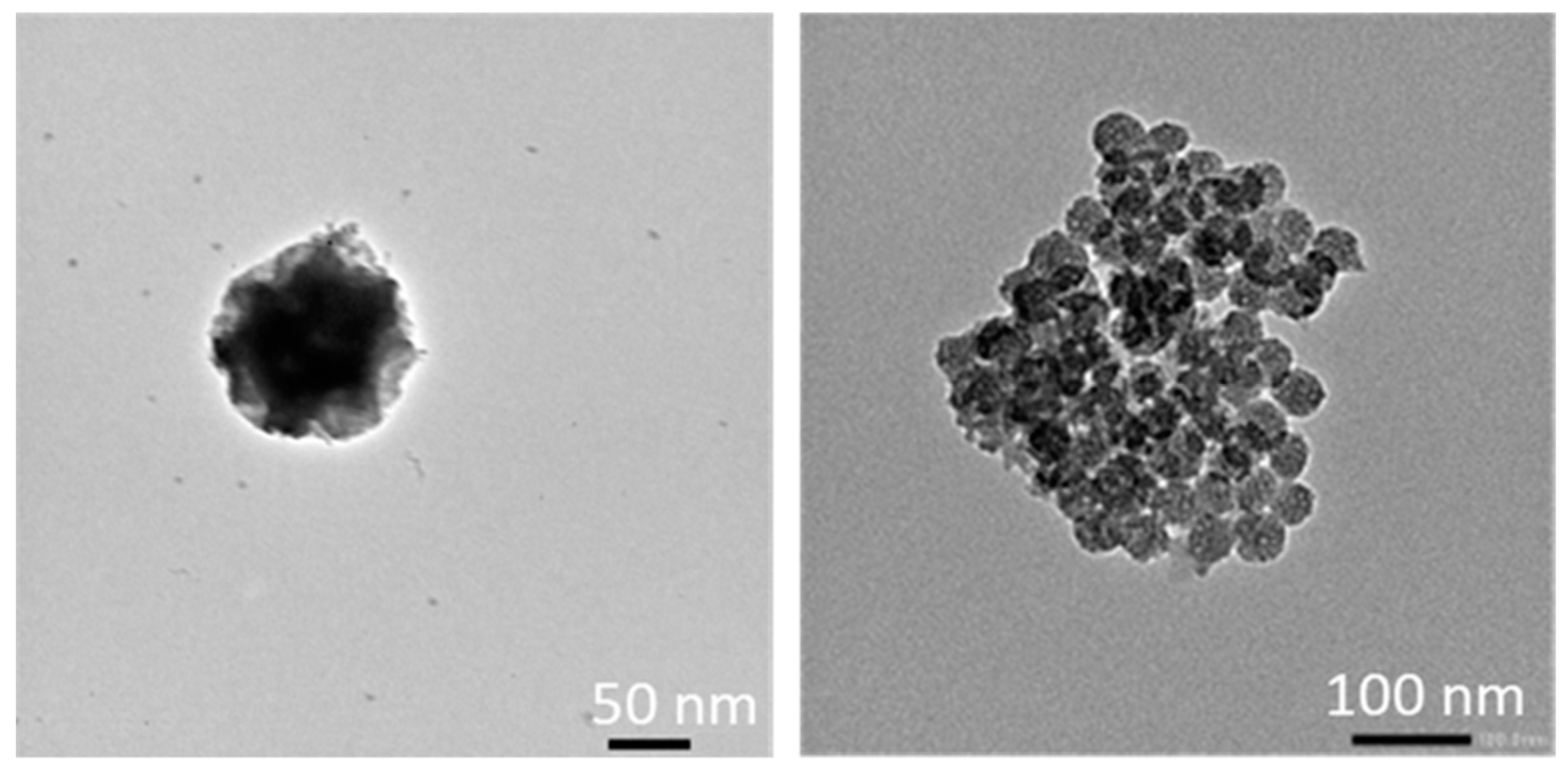 Molecules 25 00974 g007