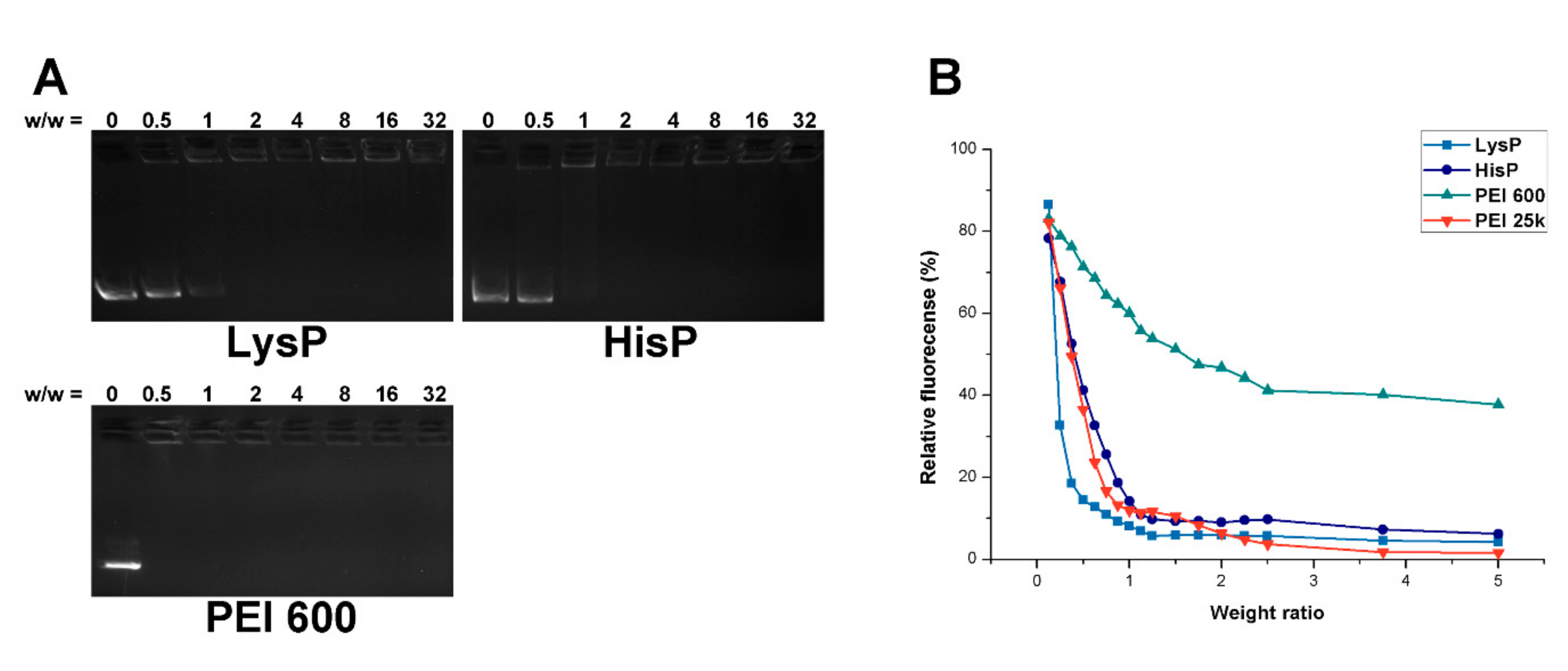 Molecules 25 00975 g001