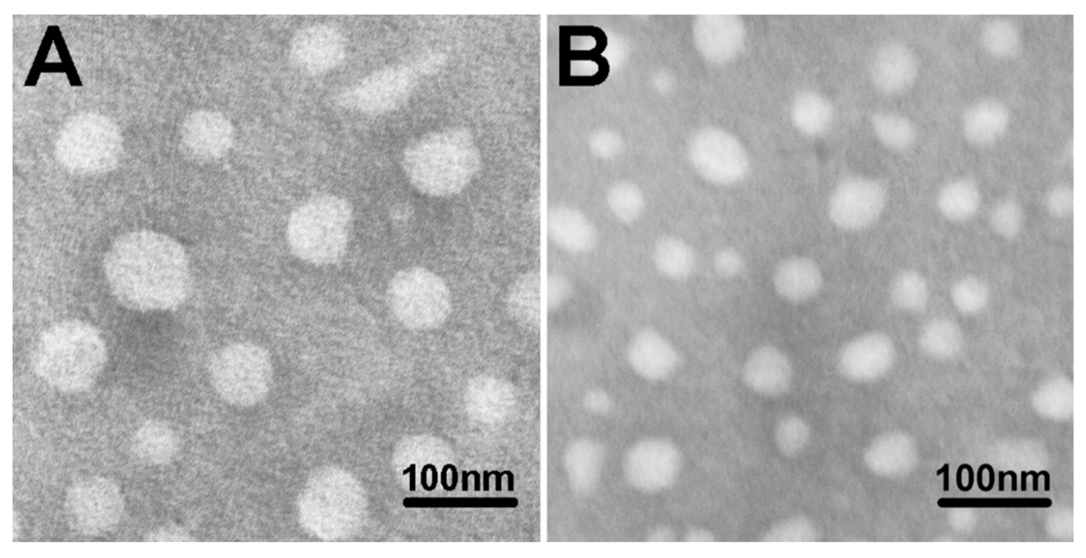 Molecules 25 00975 g003