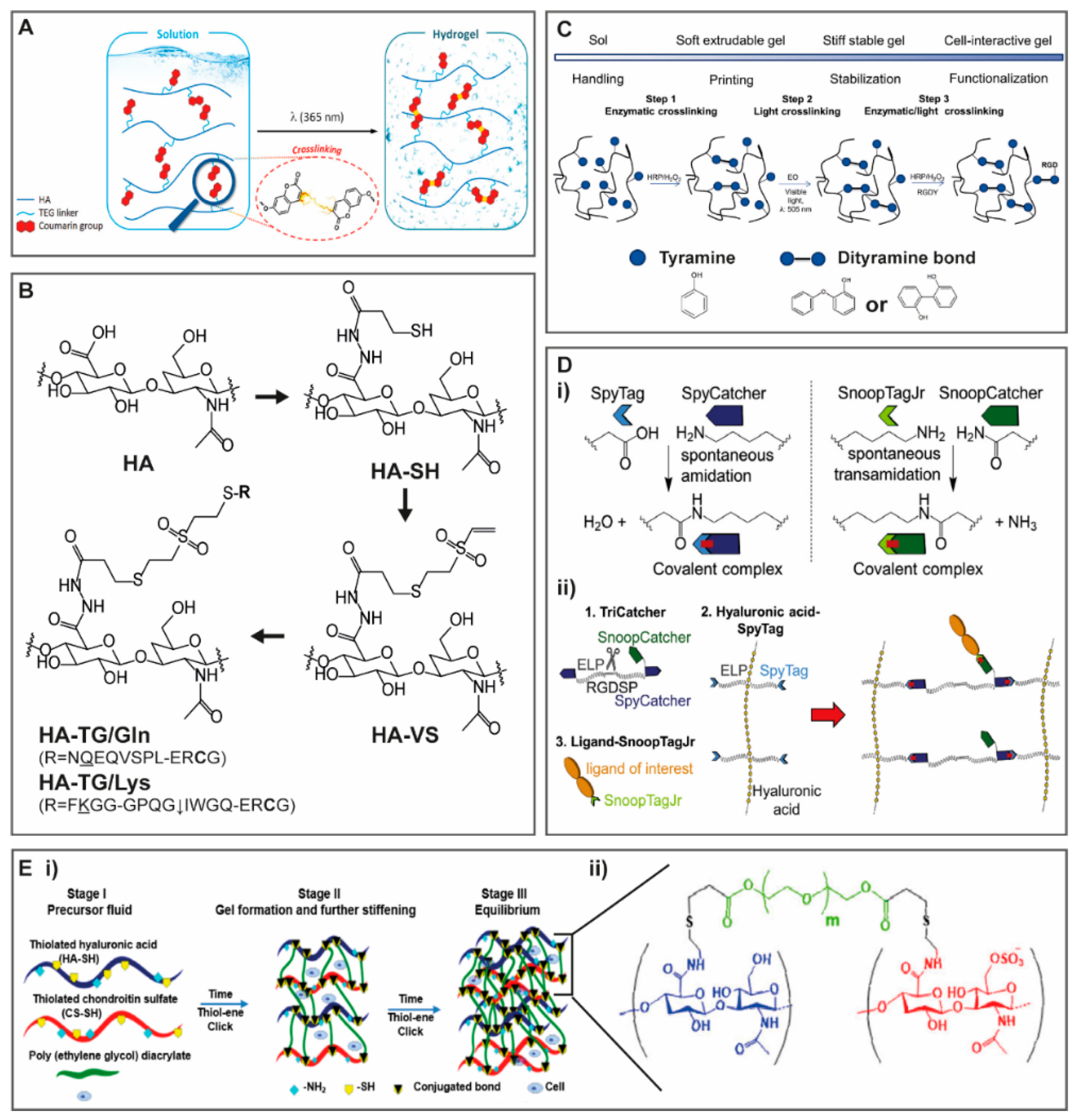 Molecules 25 00978 g004 Molecules 25 00978 g004