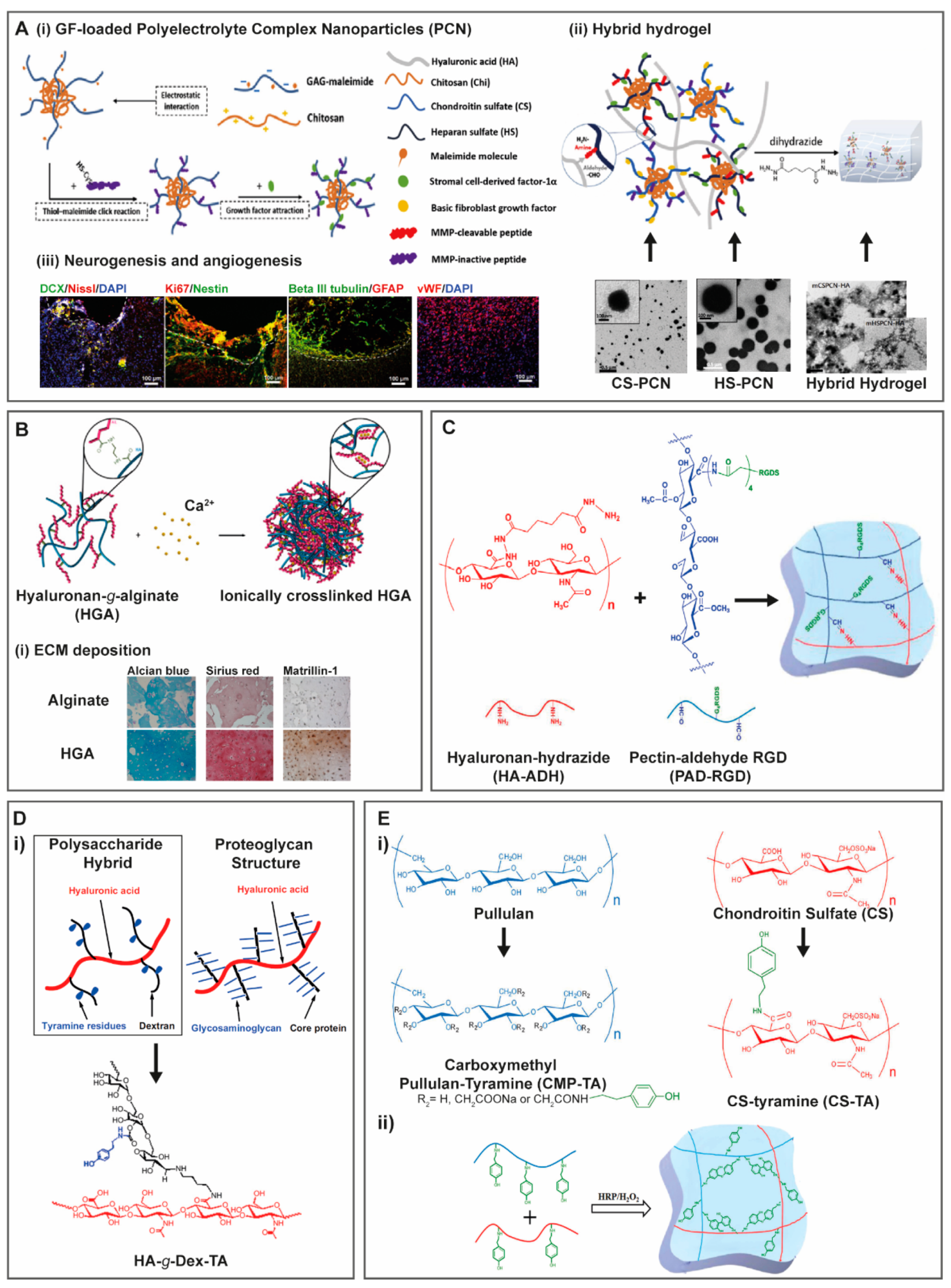 Molecules 25 00978 g009 Molecules 25 00978 g009