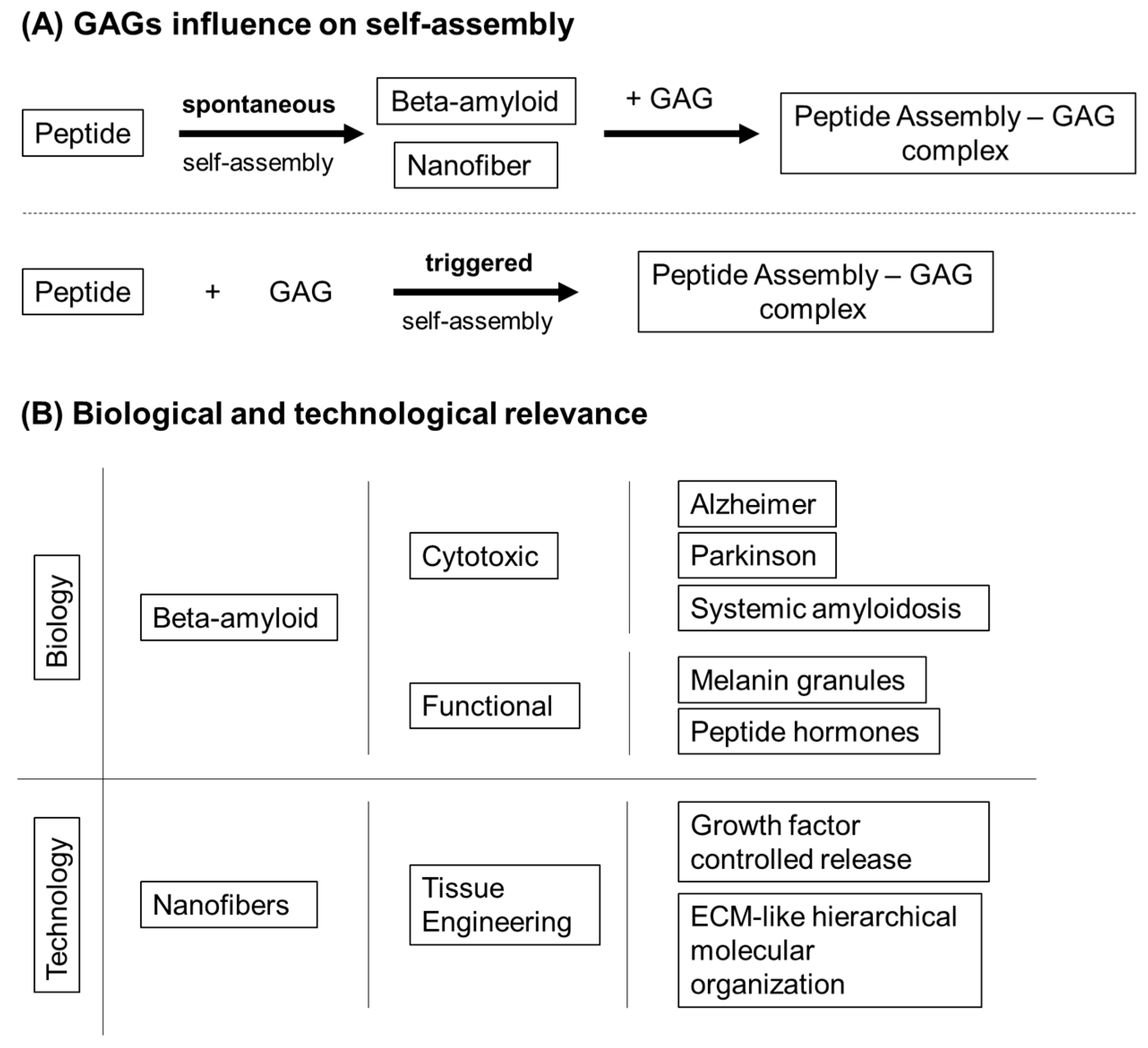 Molecules | Free Full-Text | Glycosaminoglycan-Inspired Biomaterials for the Development of Bioactive Hydrogel Networks | HTML Molecules | Free Full-Text | Glycosaminoglycan-Inspired Biomaterials for the Development of Bioactive Hydrogel Networks | HTML