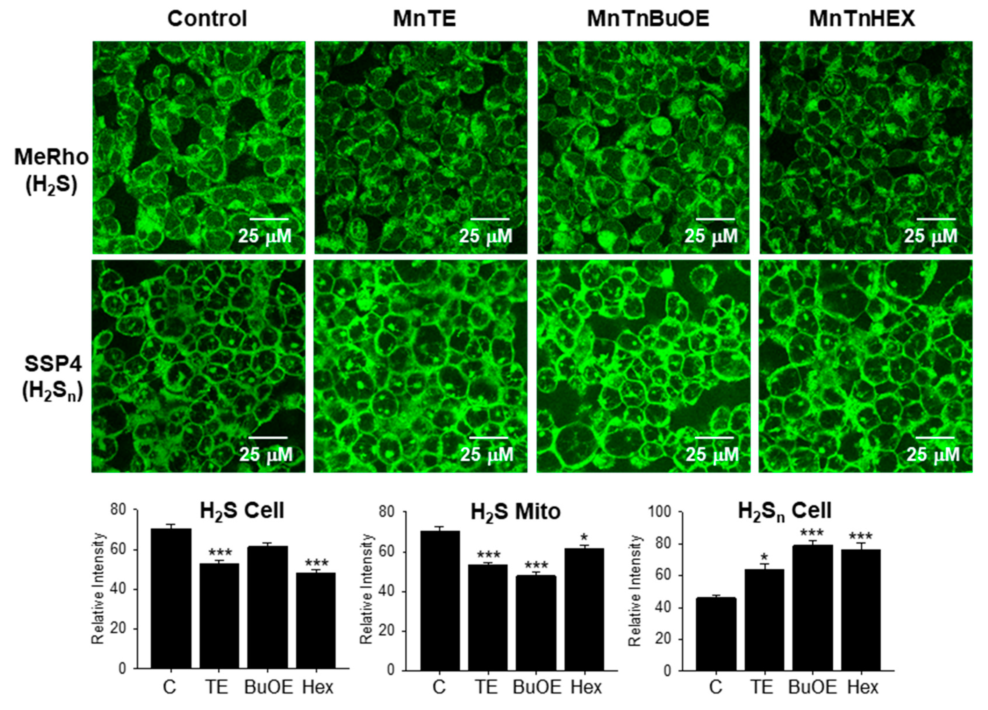 Molecules 25 00980 g003