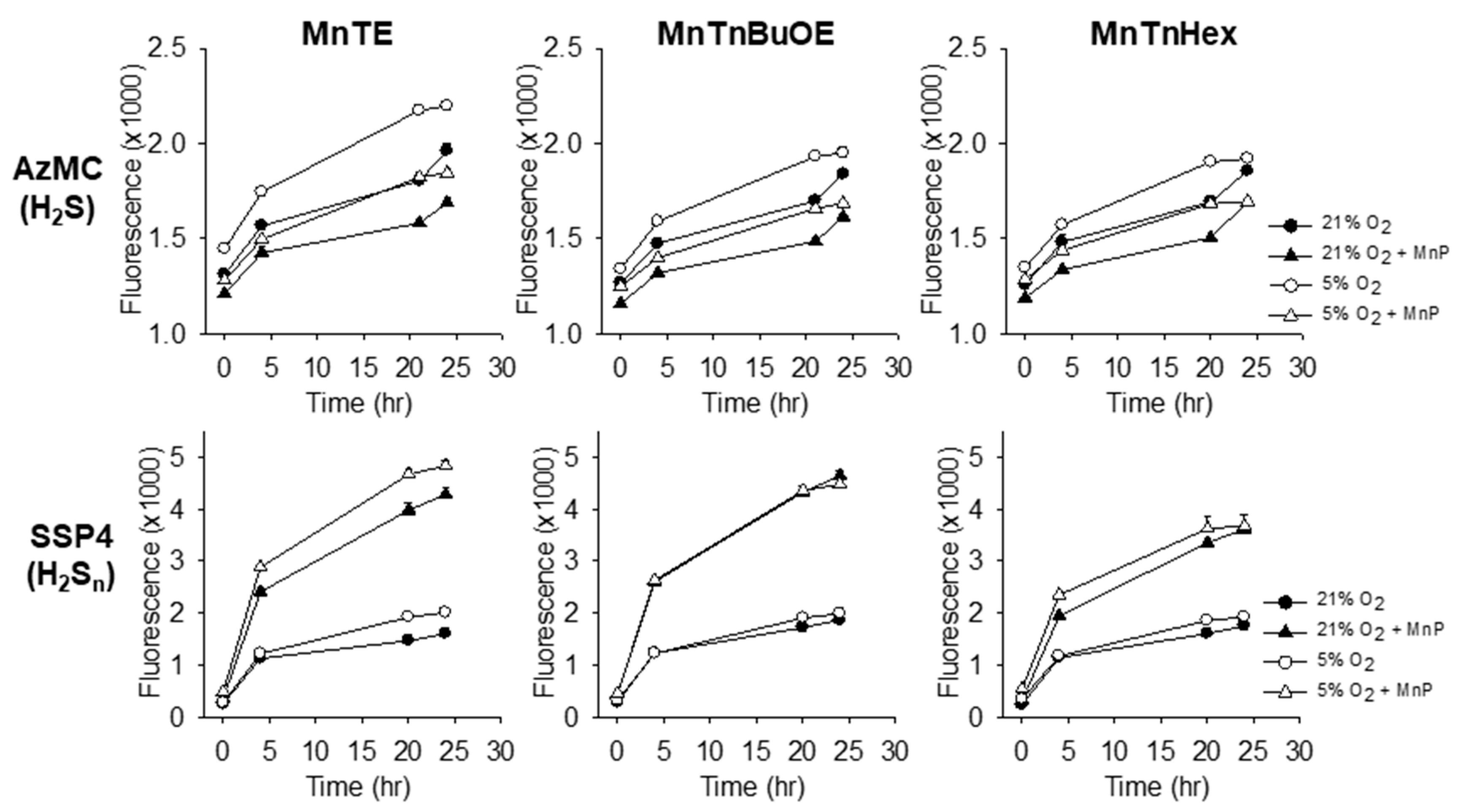 Molecules 25 00980 g004