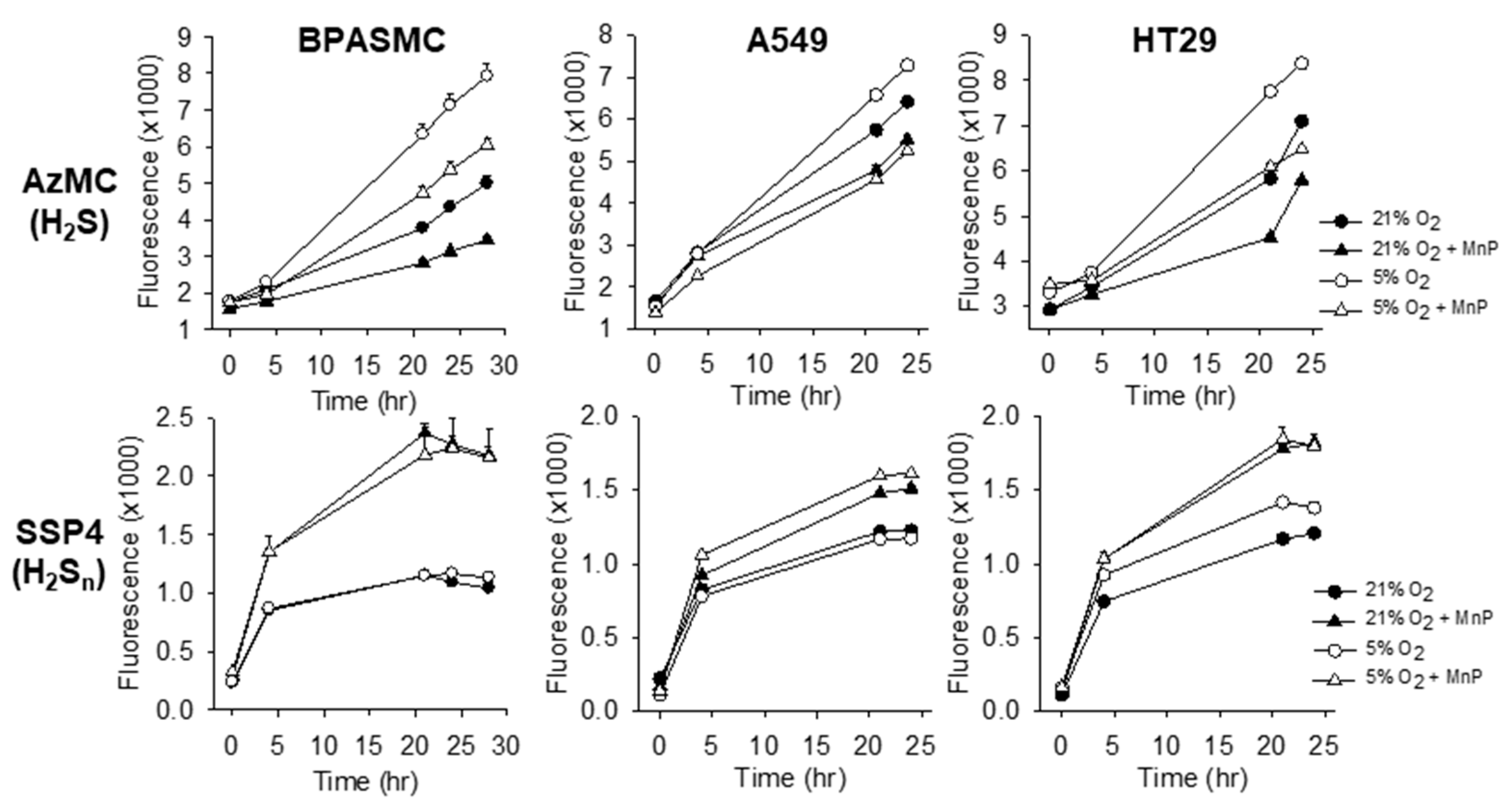 Molecules 25 00980 g005