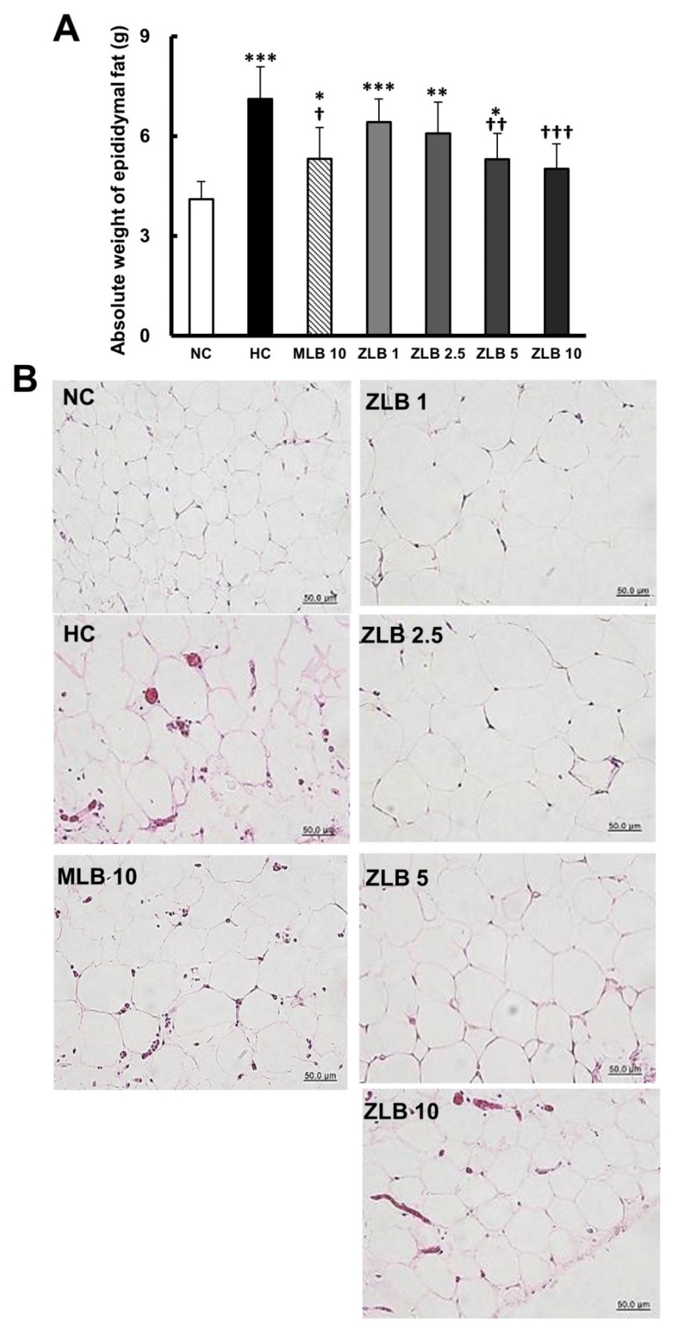 Molecules 25 00983 g003 Molecules 25 00983 g003