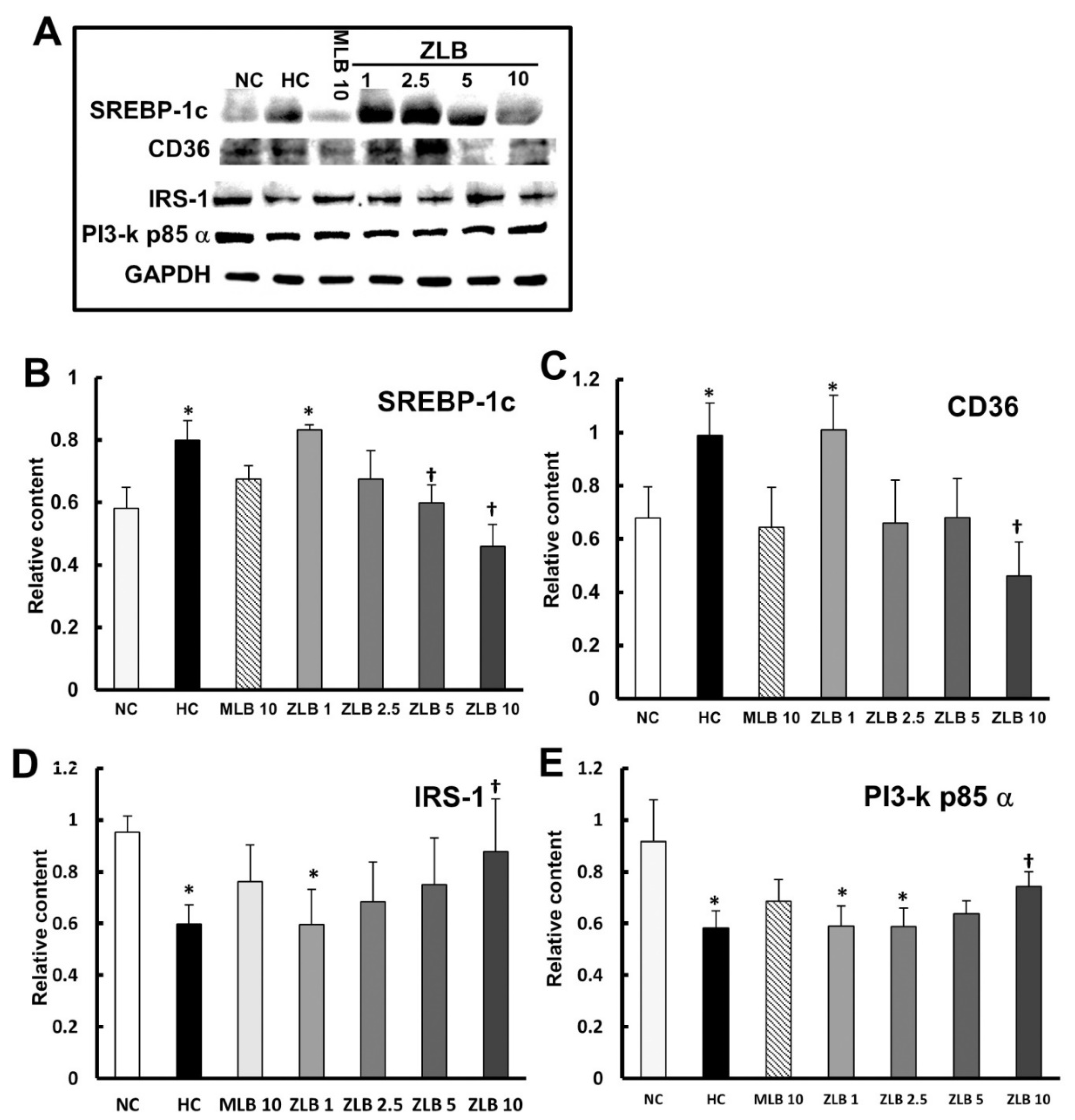 Molecules 25 00983 g006 Molecules 25 00983 g006