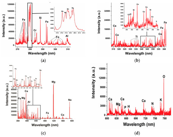 The Plasma Spectroscopic Study of Dergaon Meteorite, India