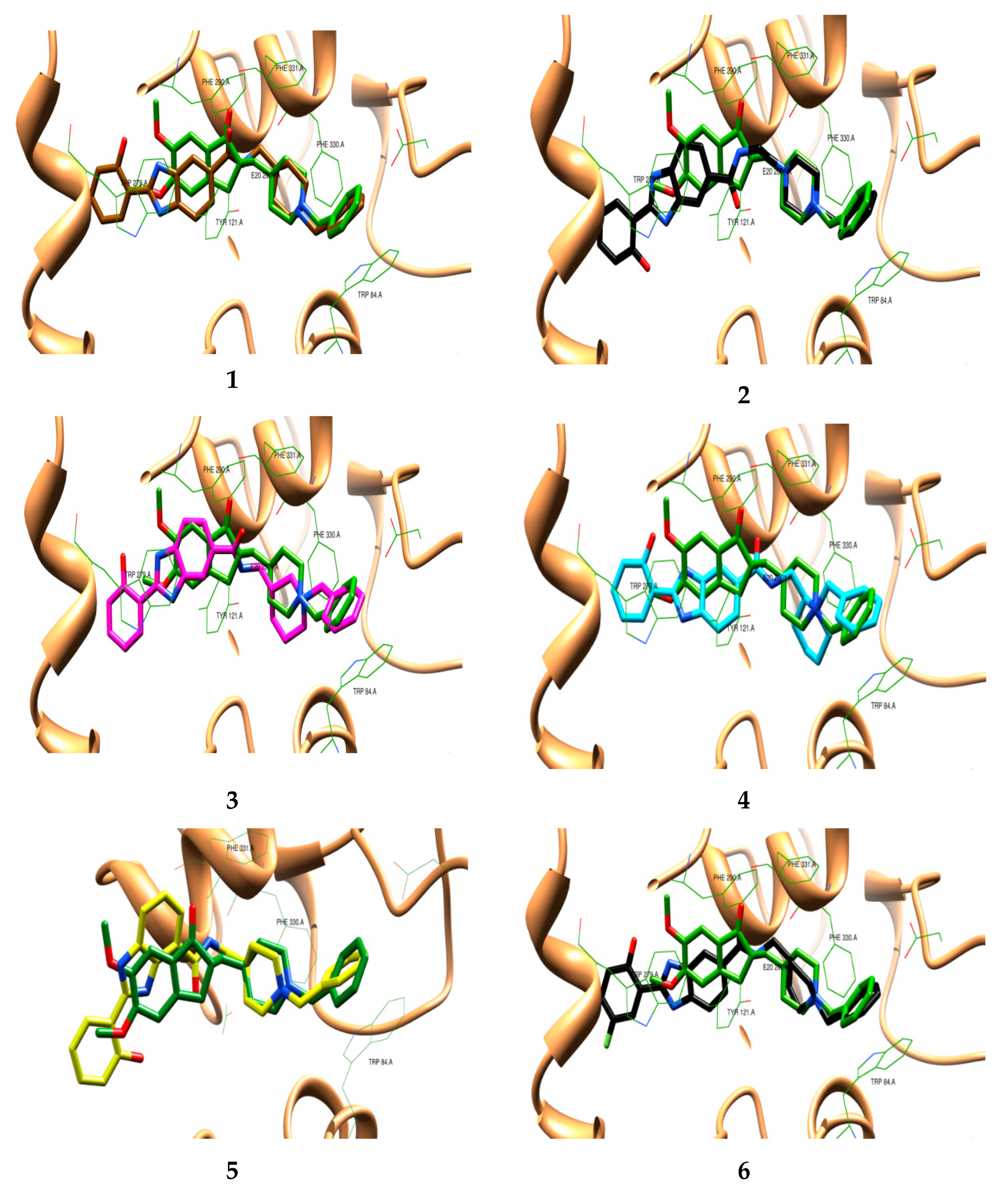 Molecules 25 00985 g002a Molecules 25 00985 g002a