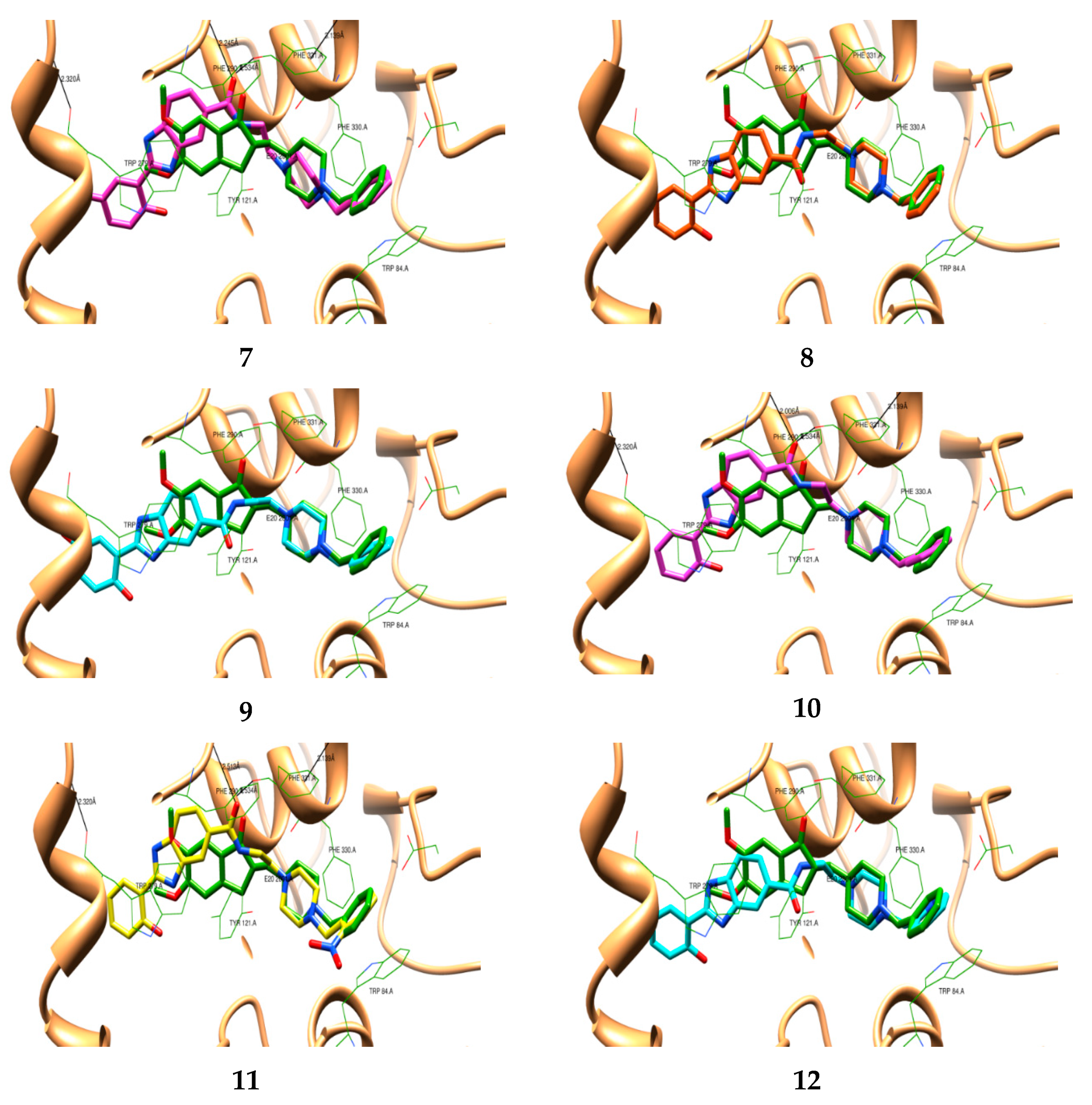 Molecules 25 00985 g002b Molecules 25 00985 g002b