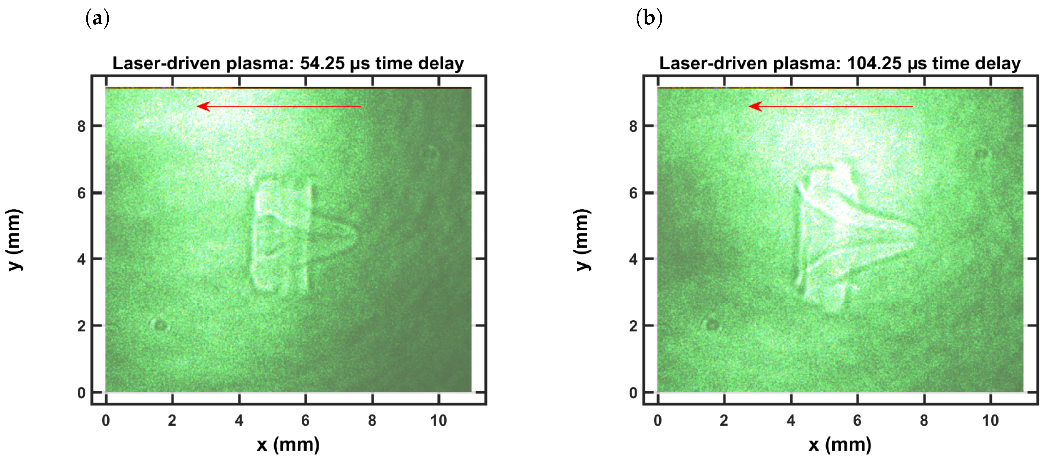 Molecules 25 00988 g002