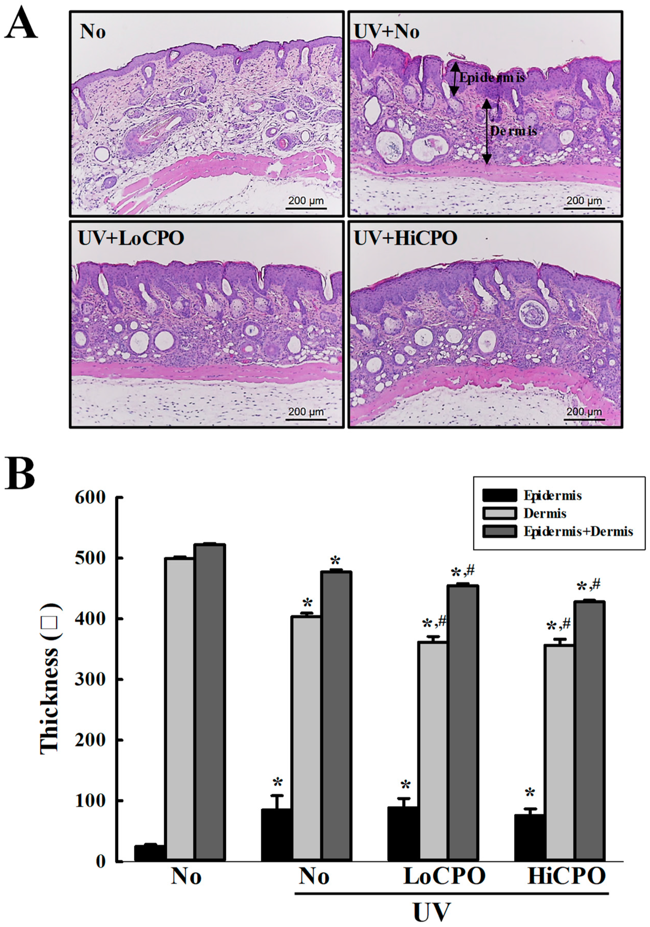 Molecules 25 00989 g008 Molecules 25 00989 g008