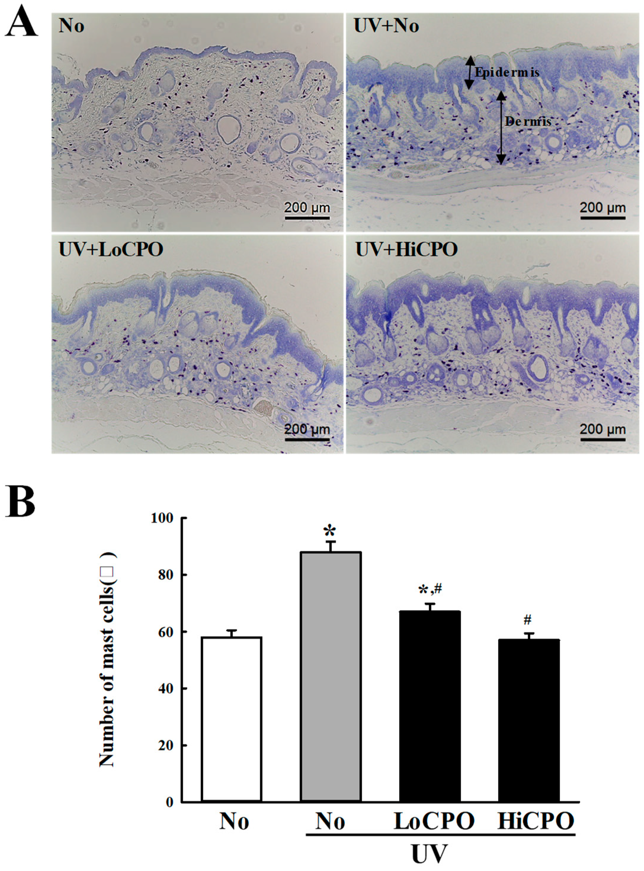 Molecules 25 00989 g010 Molecules 25 00989 g010