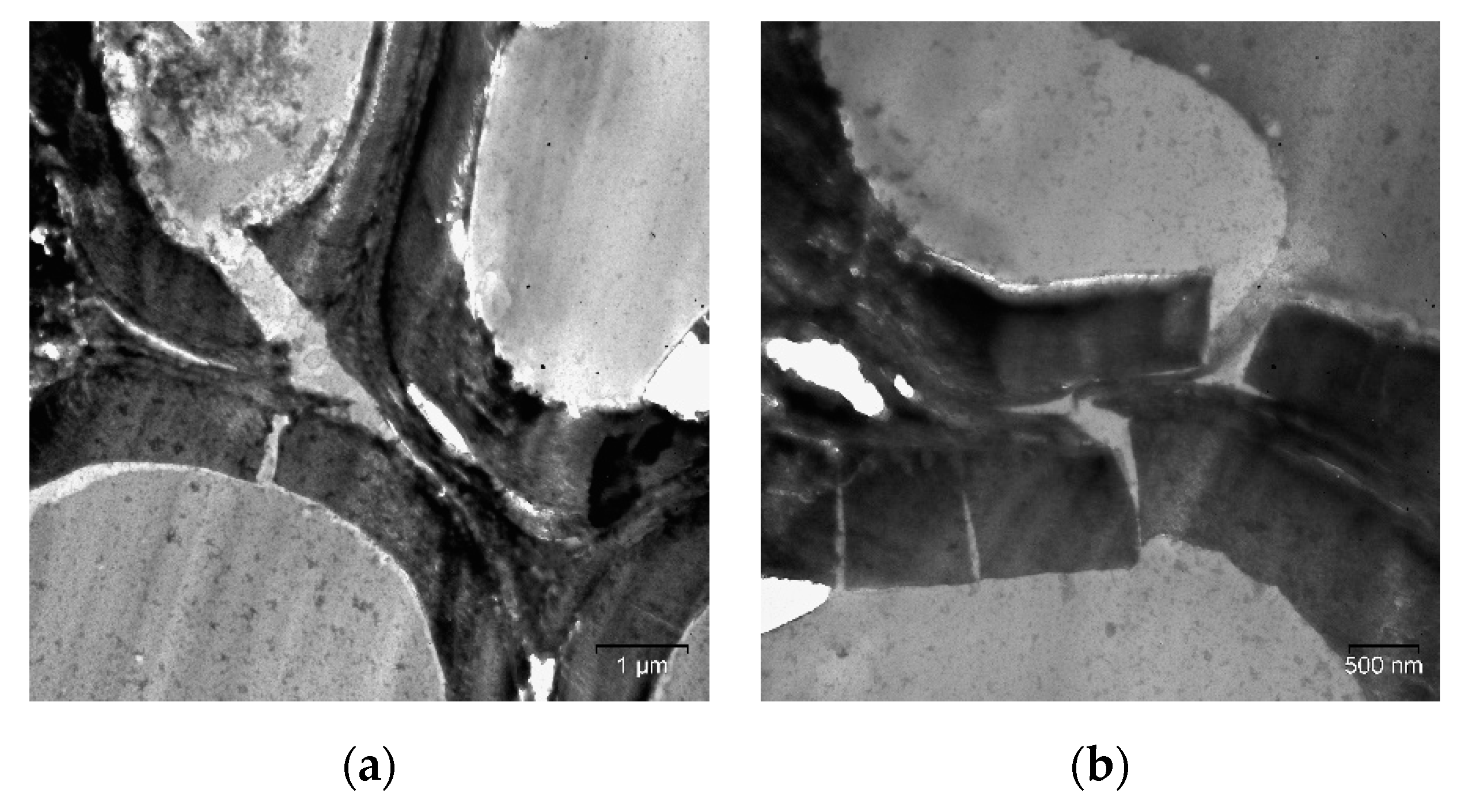 Molecules 25 00995 g005 Molecules 25 00995 g005