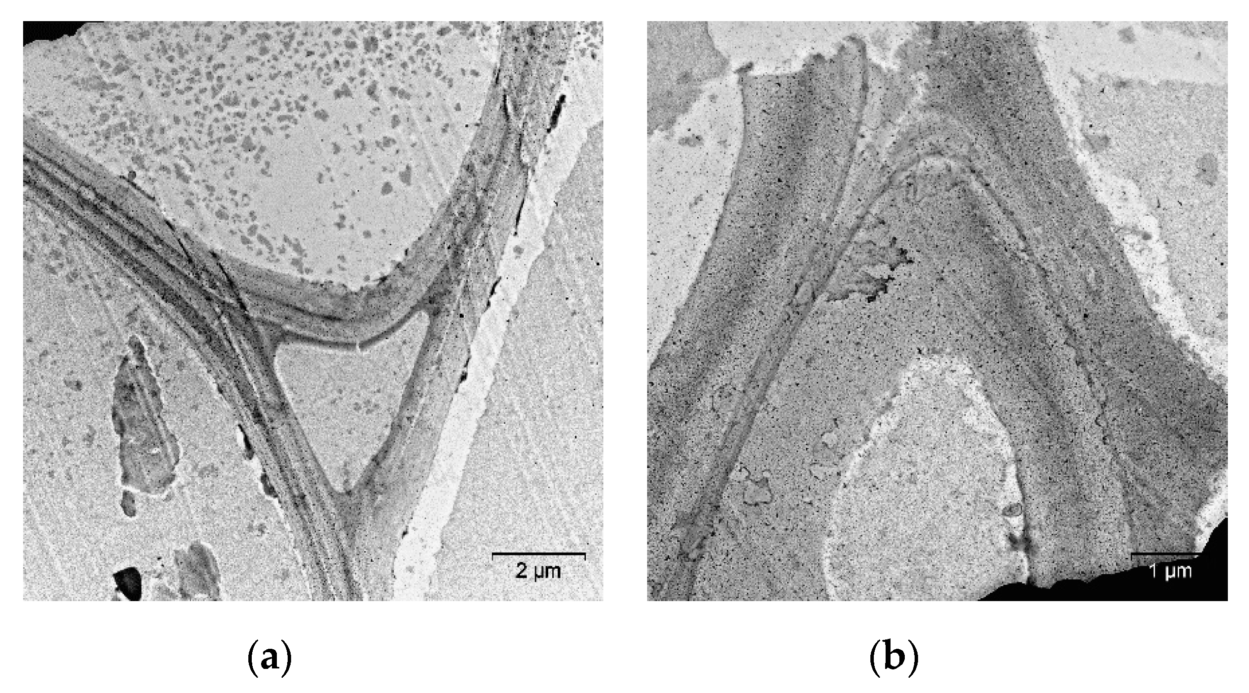 Molecules 25 00995 g006 Molecules 25 00995 g006