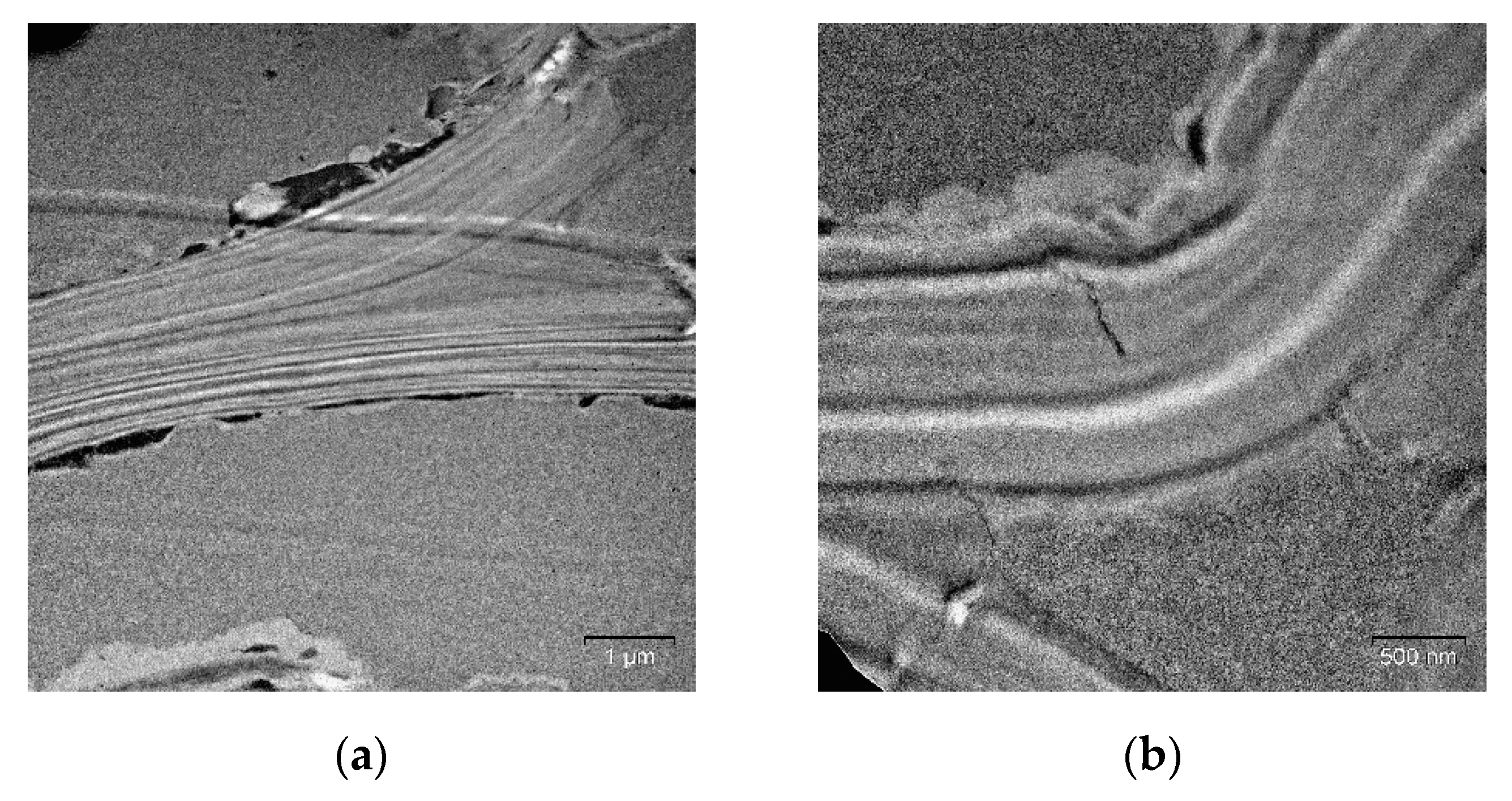 Molecules 25 00995 g007 Molecules 25 00995 g007