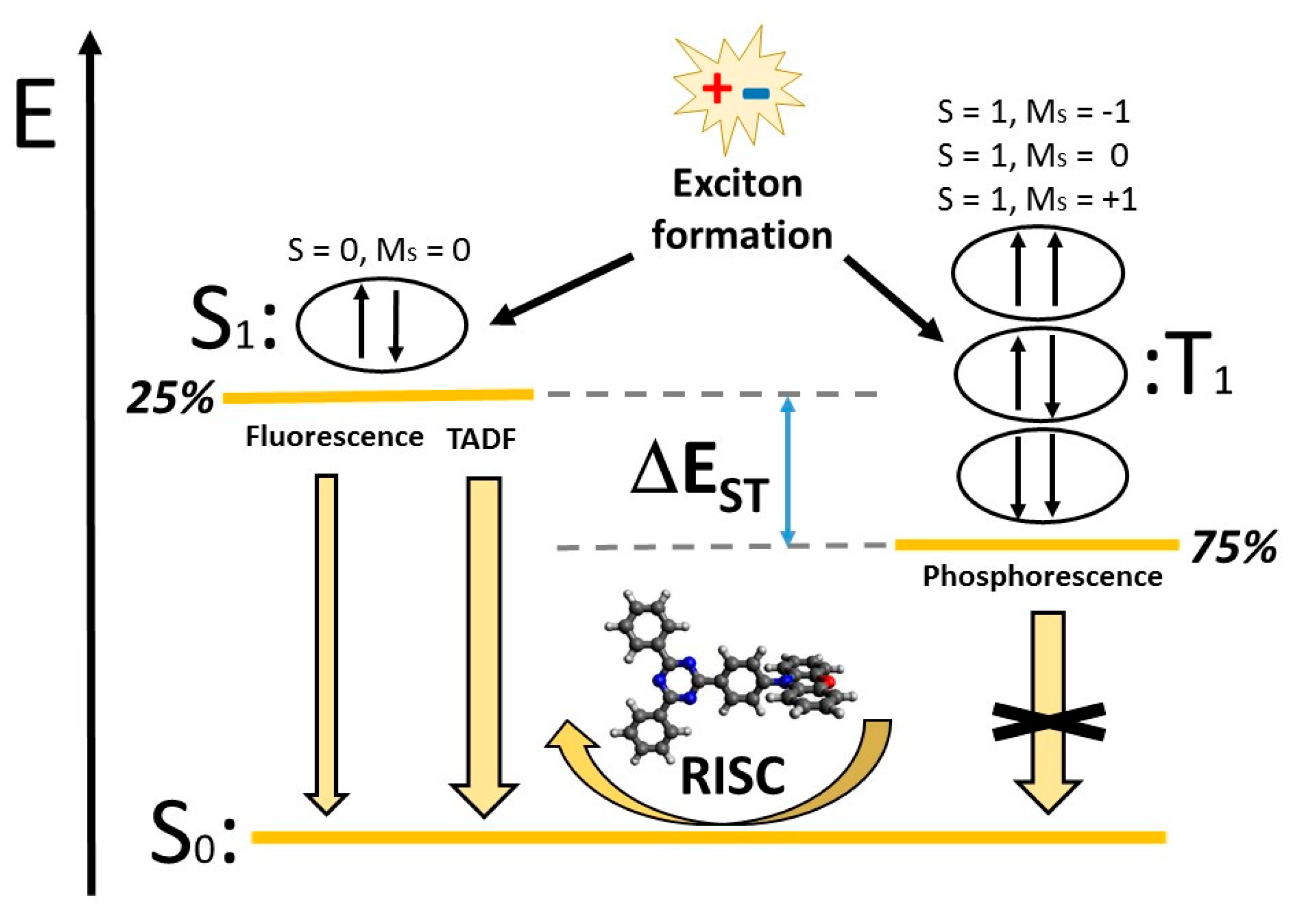 Molecules 25 01006 g002 Molecules 25 01006 g002