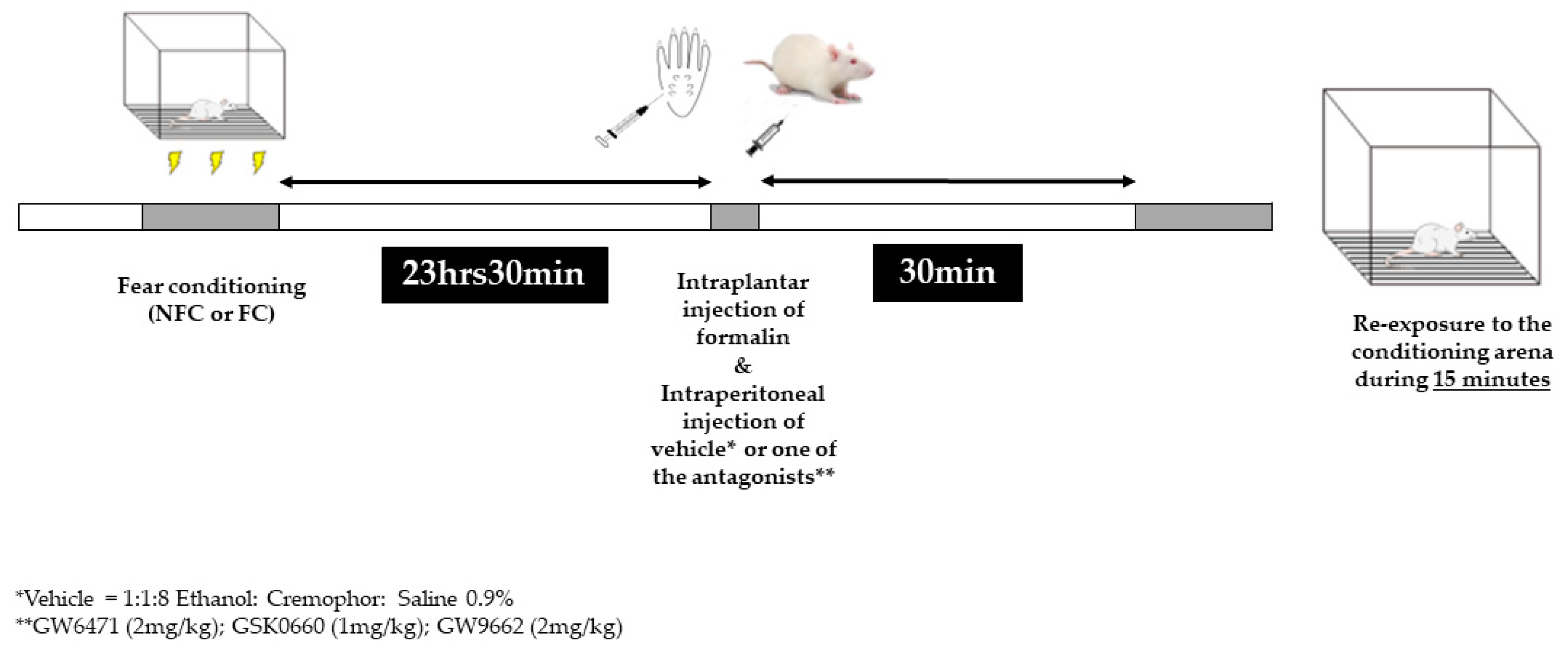 Molecules 25 01007 g009 Molecules 25 01007 g009