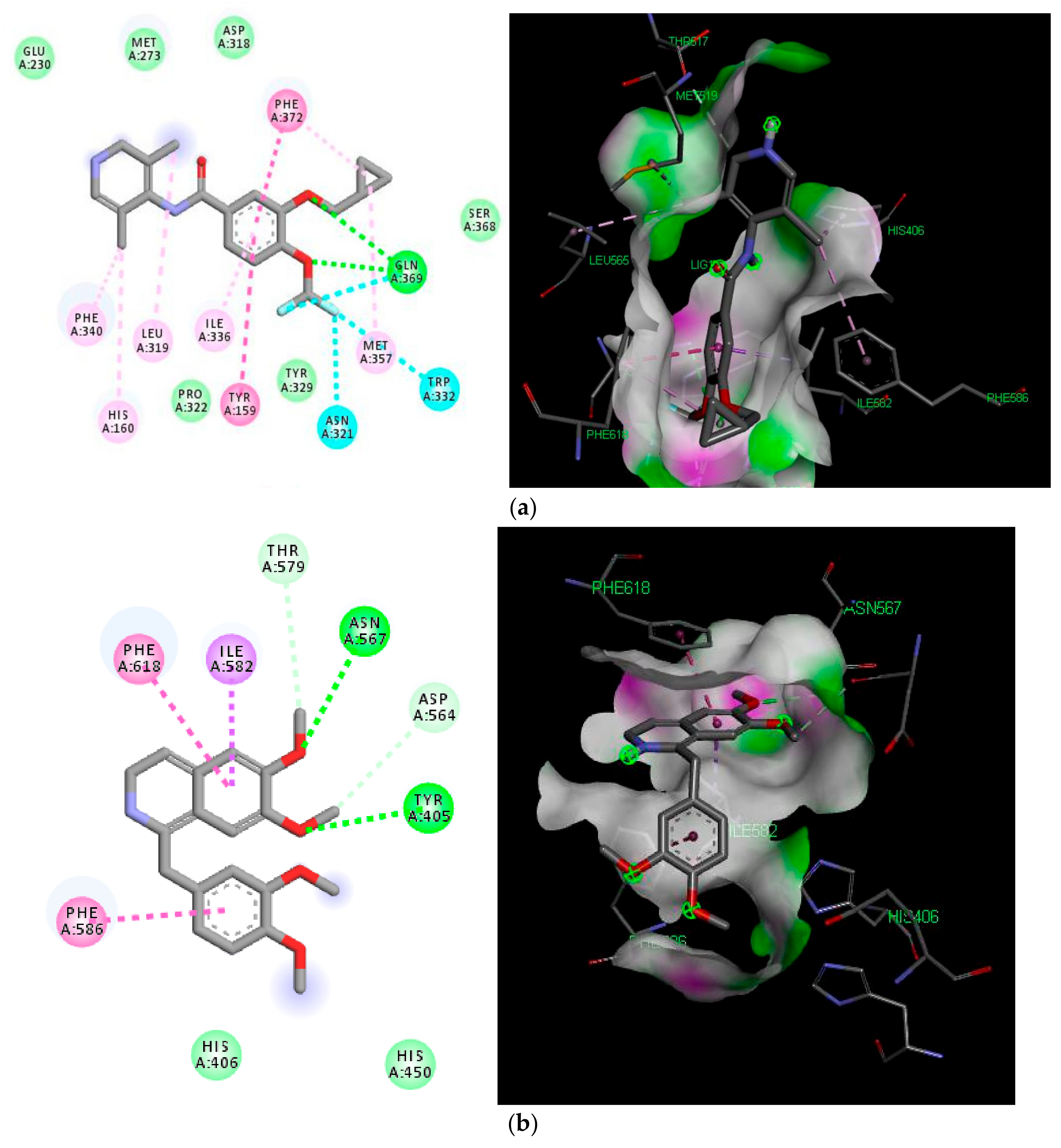 Molecules 25 01008 g005
