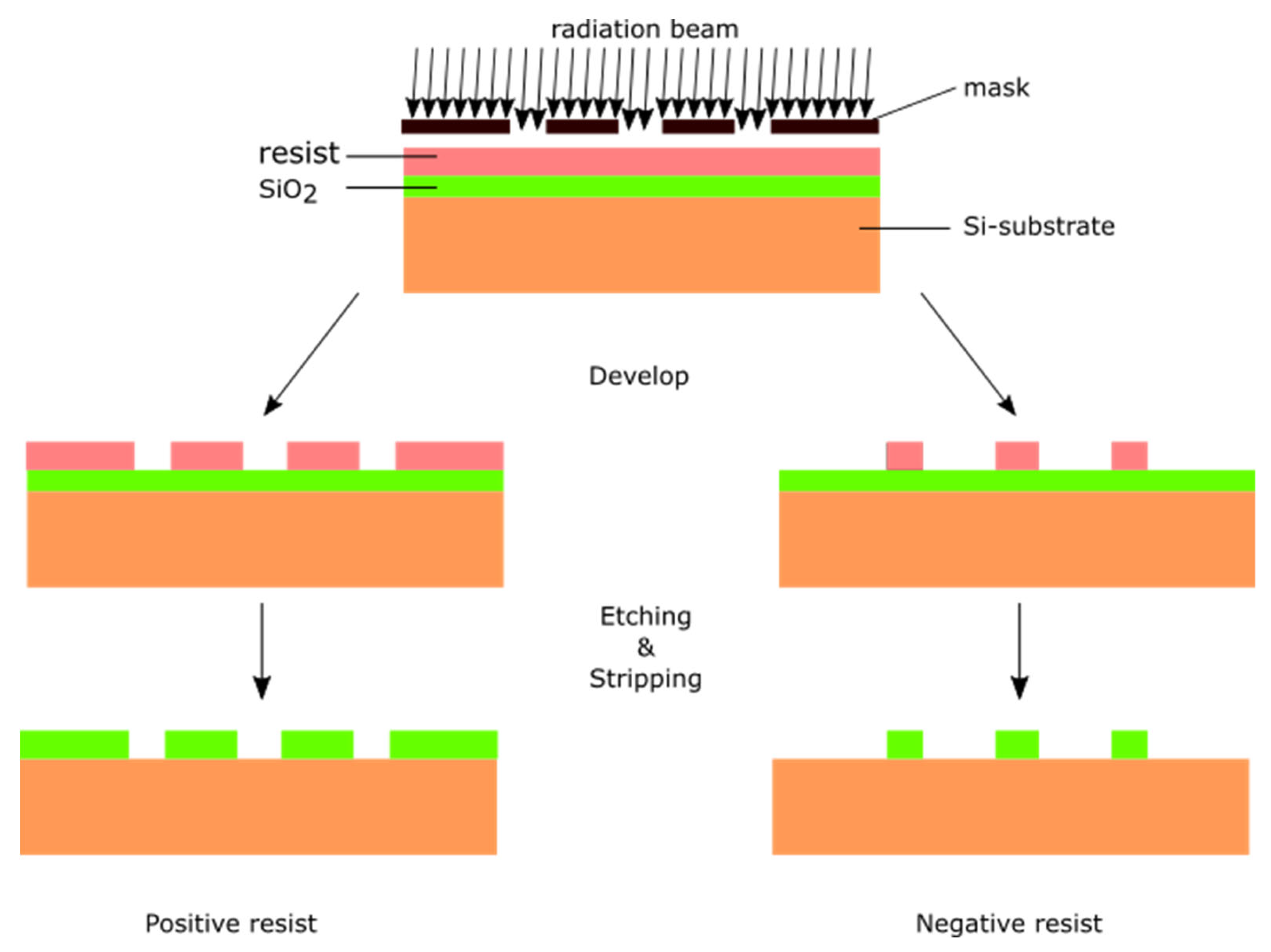 Molecules 25 01009 g002