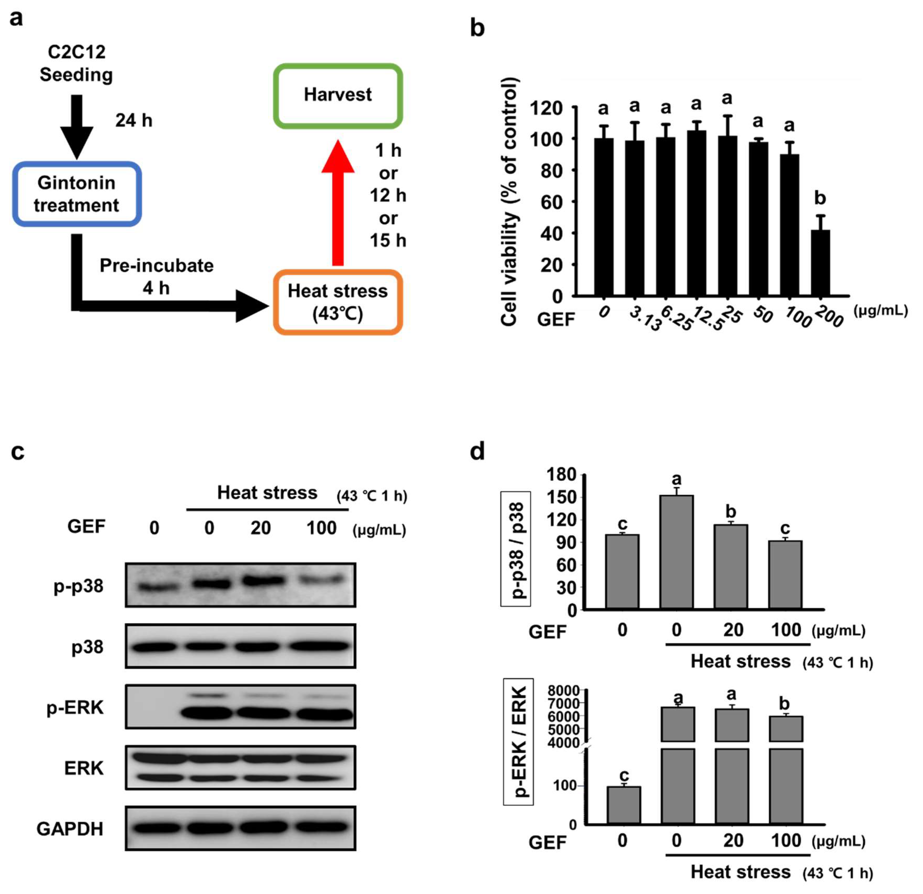 Molecules 25 01019 g001