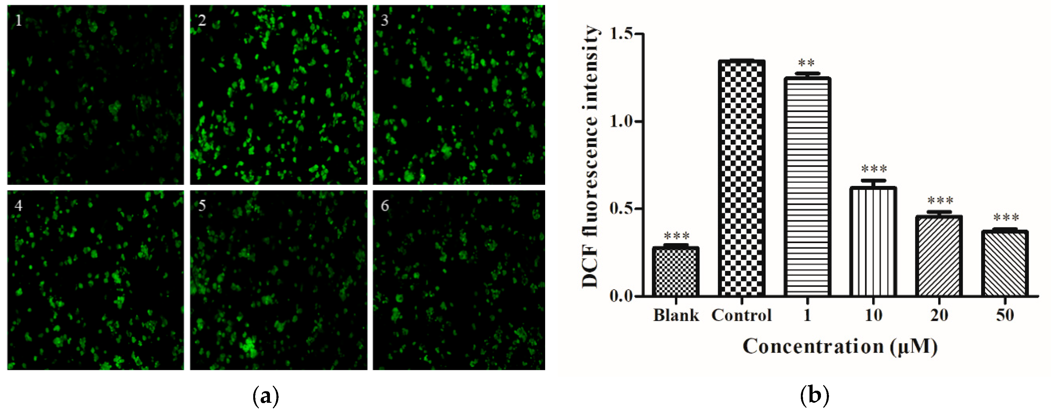 Molecules 25 01024 g002 Molecules 25 01024 g002