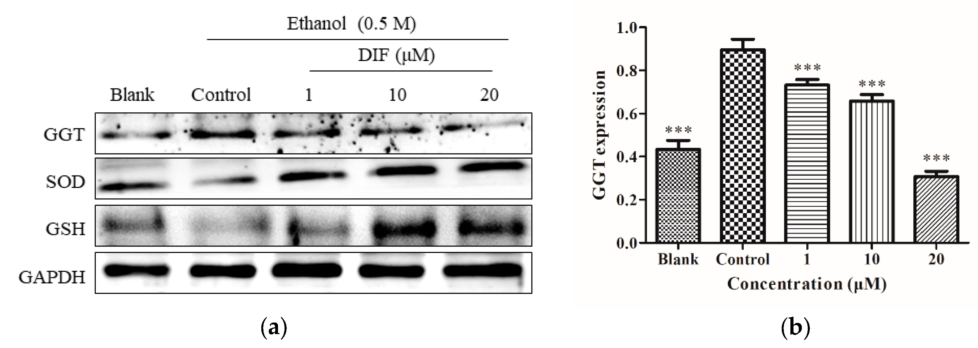 Molecules 25 01024 g003a Molecules 25 01024 g003a