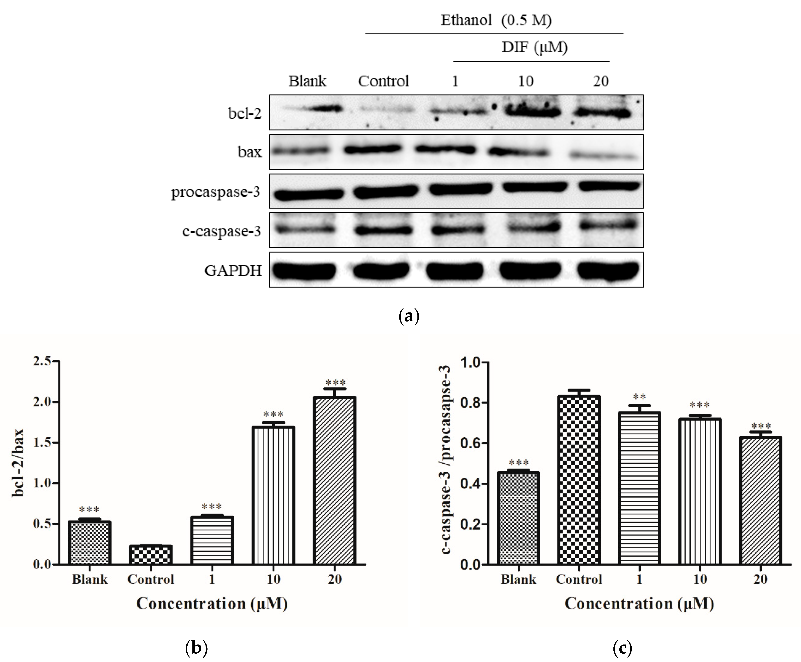 Molecules 25 01024 g005 Molecules 25 01024 g005