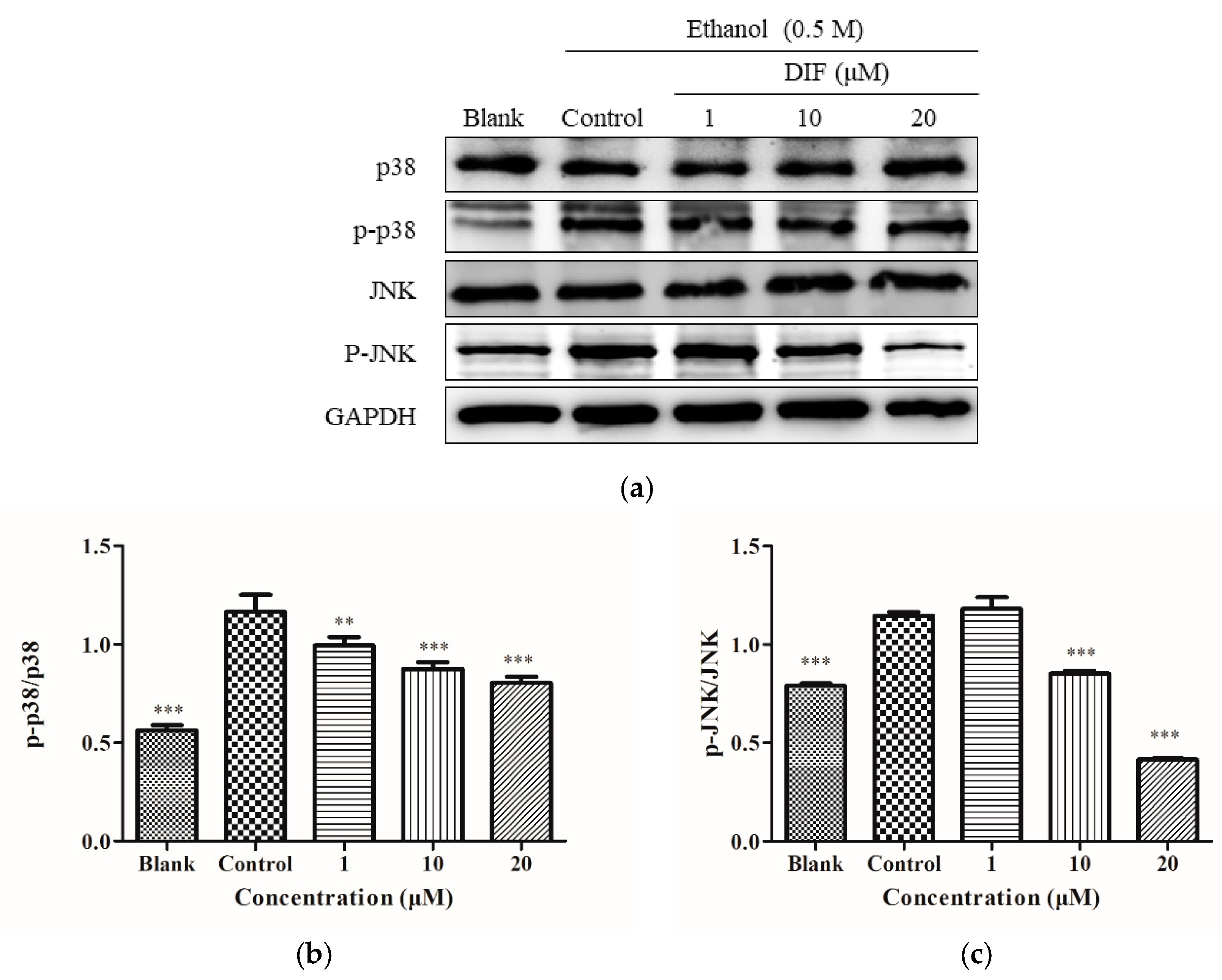 Molecules 25 01024 g006 Molecules 25 01024 g006