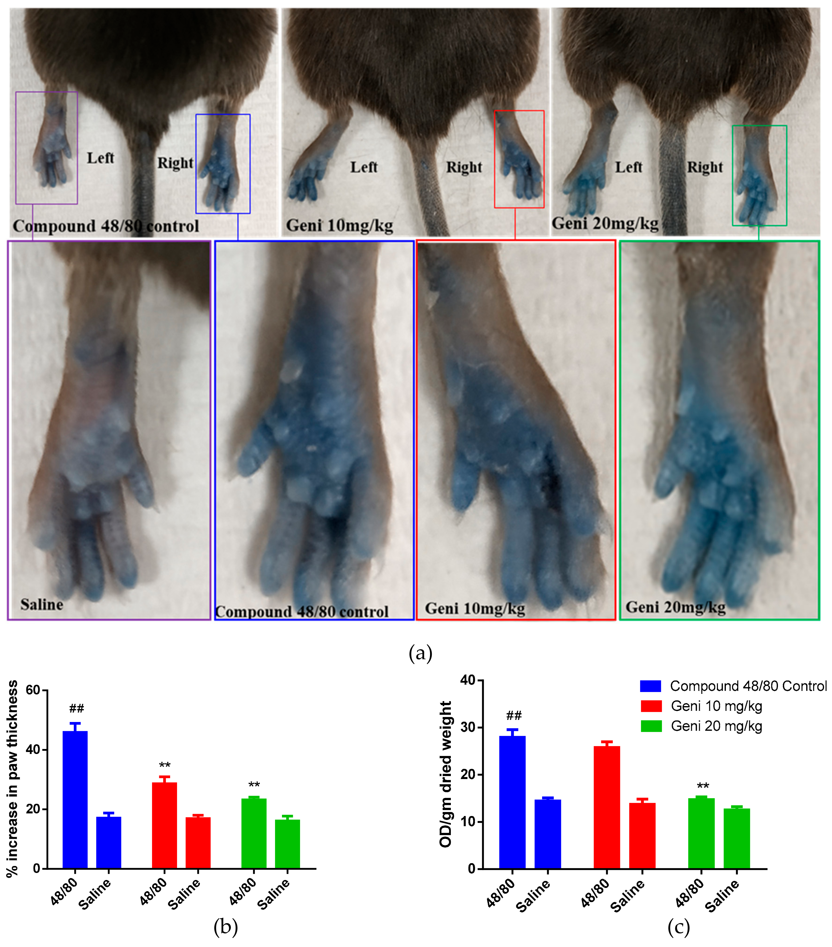 Molecules 25 01028 g004 Molecules 25 01028 g004