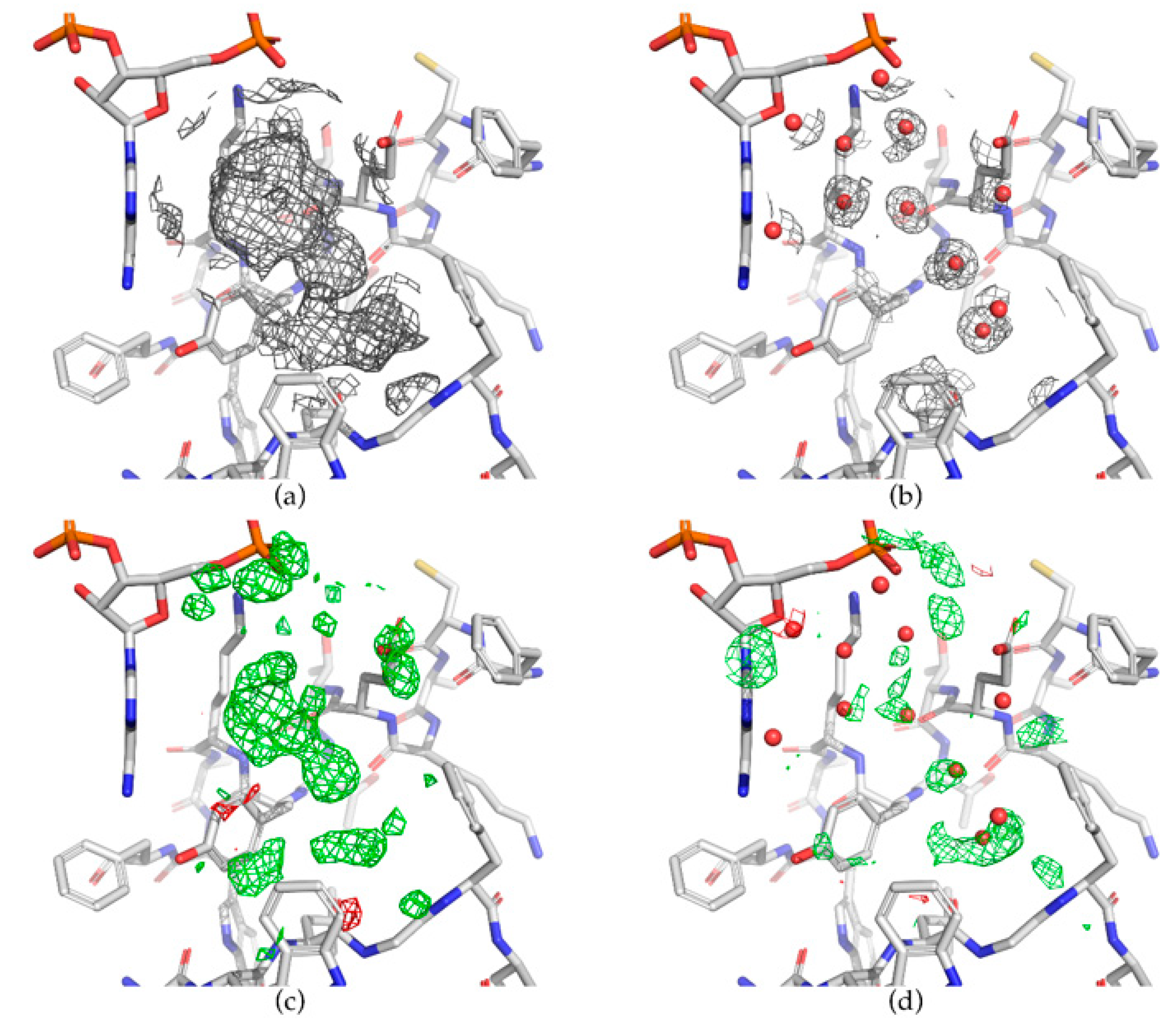 Molecules 25 01030 g002