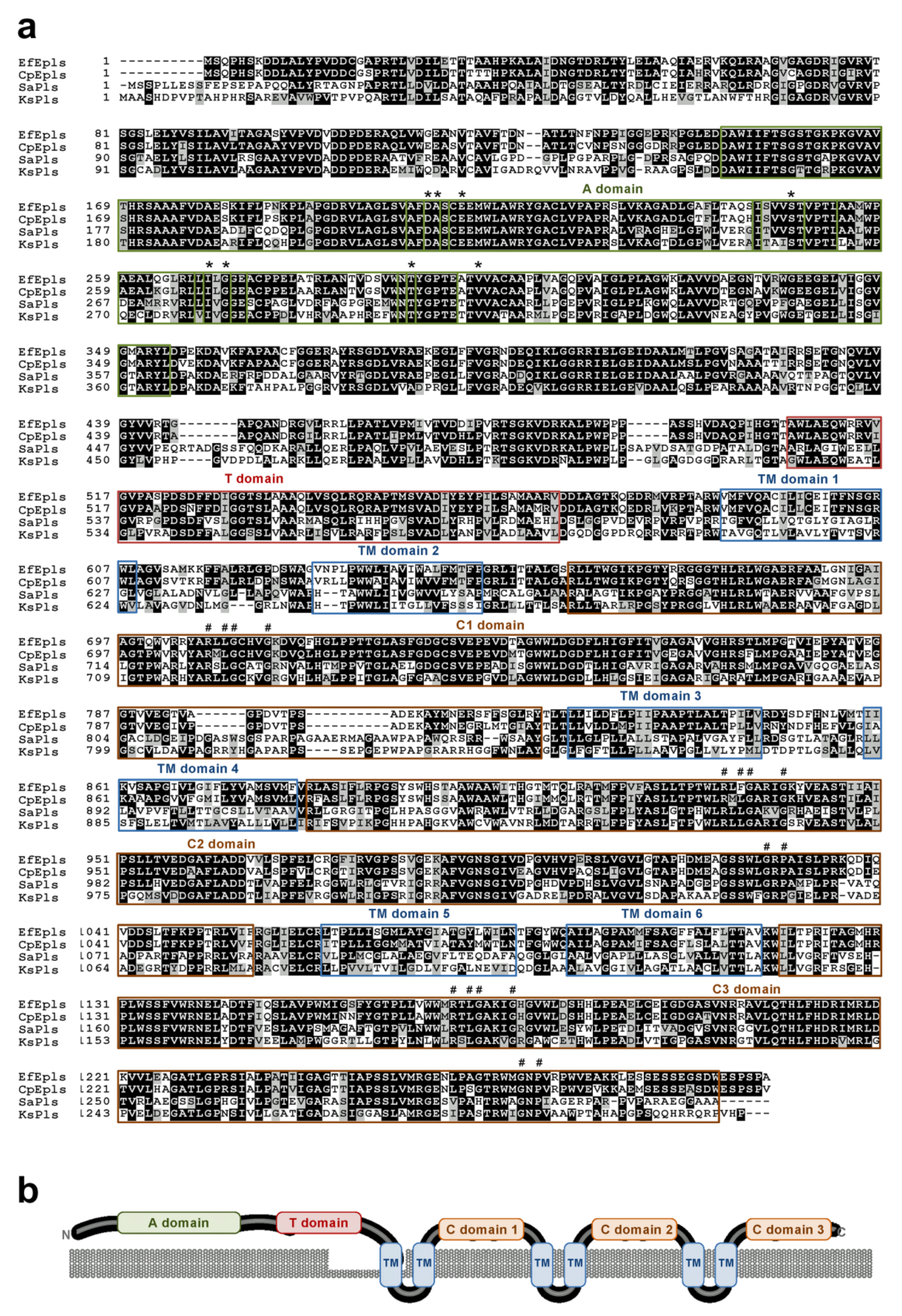 Molecules 25 01032 g002