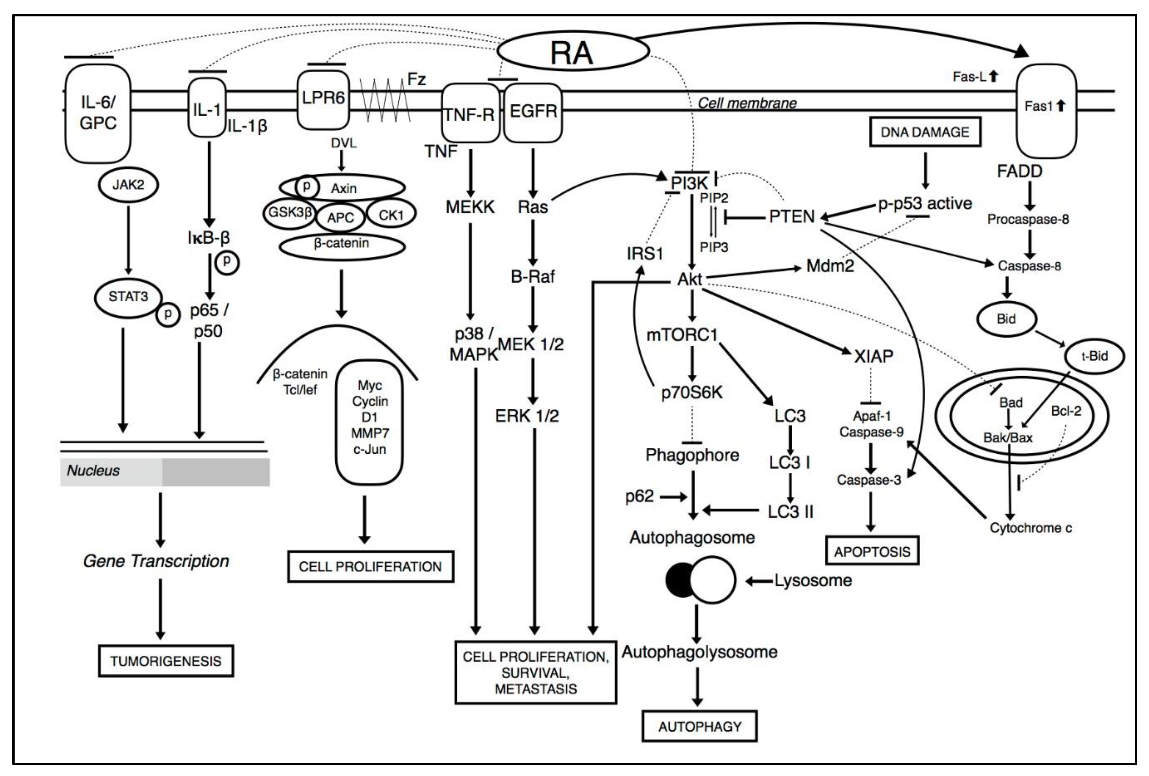 Molecules 25 01035 g002 Molecules 25 01035 g002