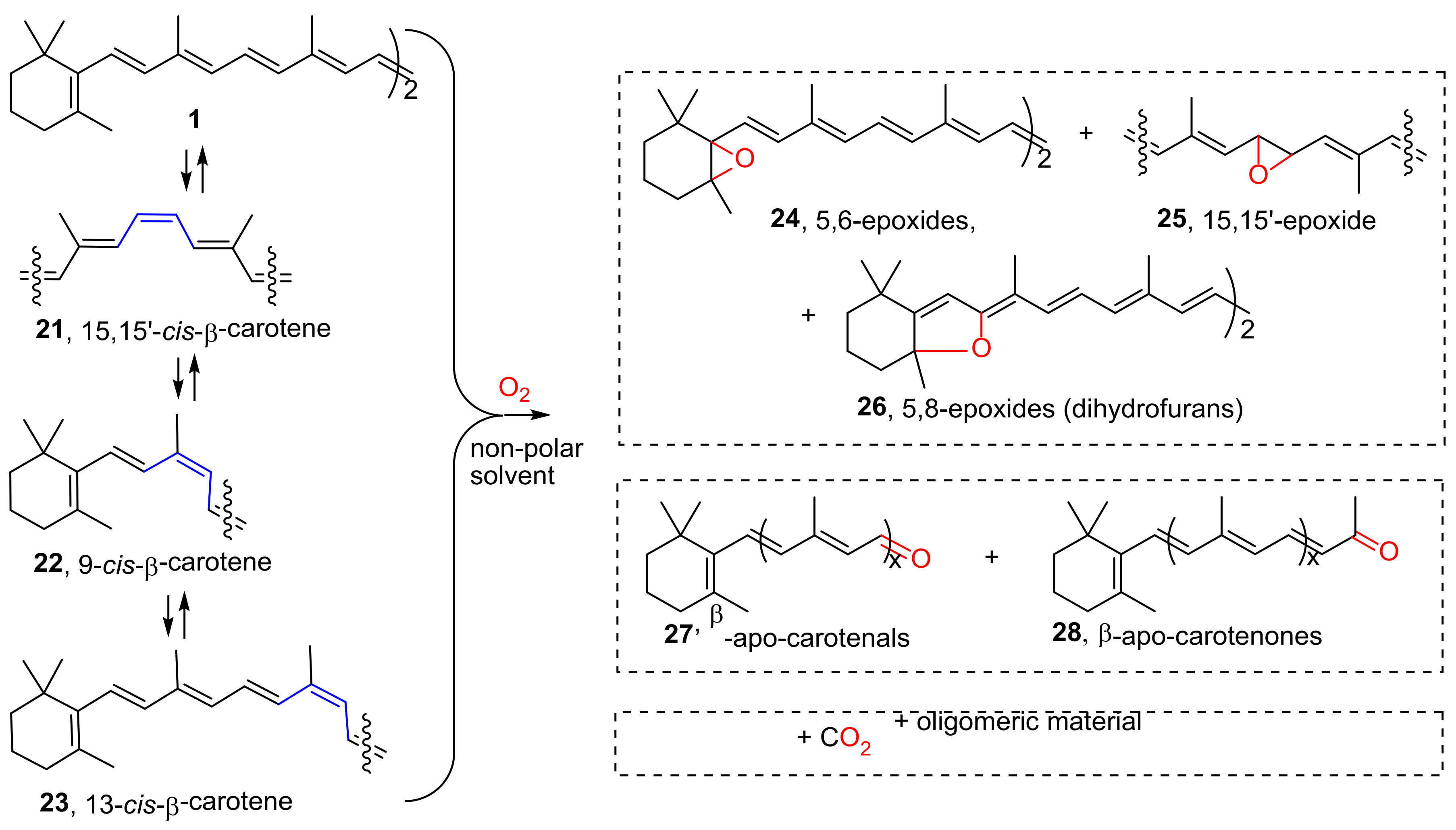 Molecules Free FullText Free Radical Mediated Oxidative