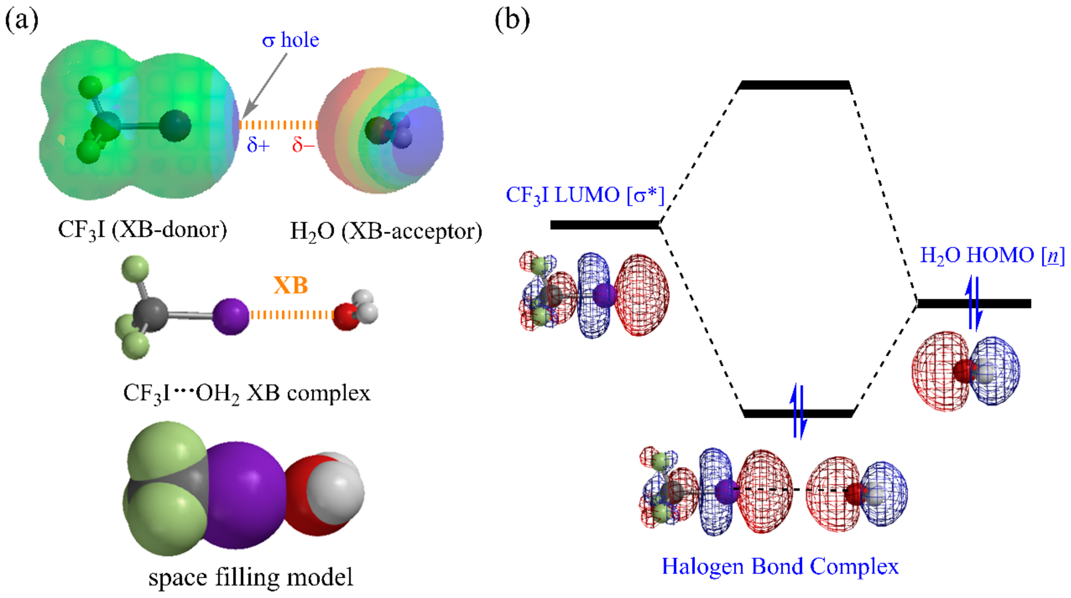 Molecules 25 01045 g001 Molecules 25 01045 g001