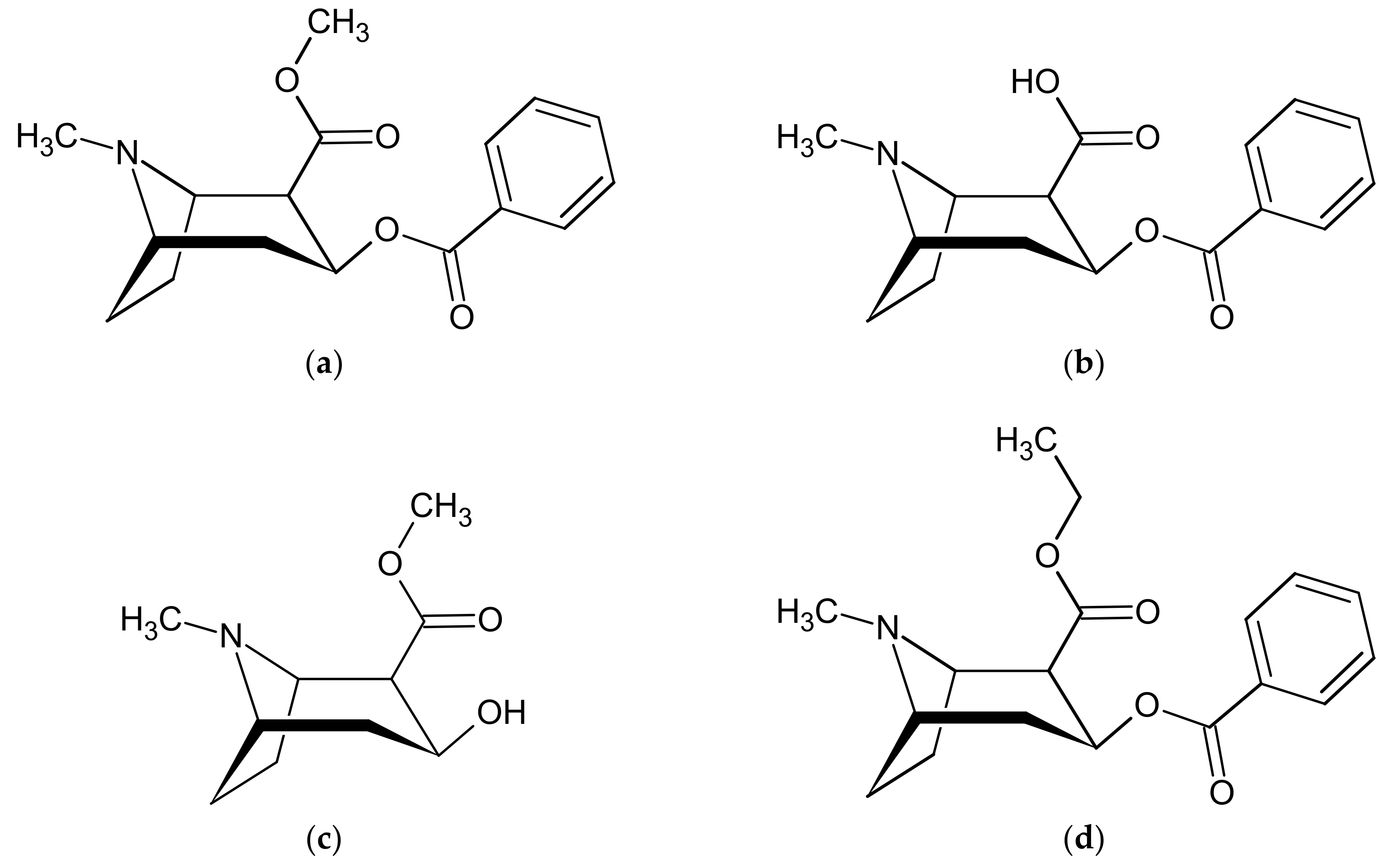 Molecules 25 01046 g001