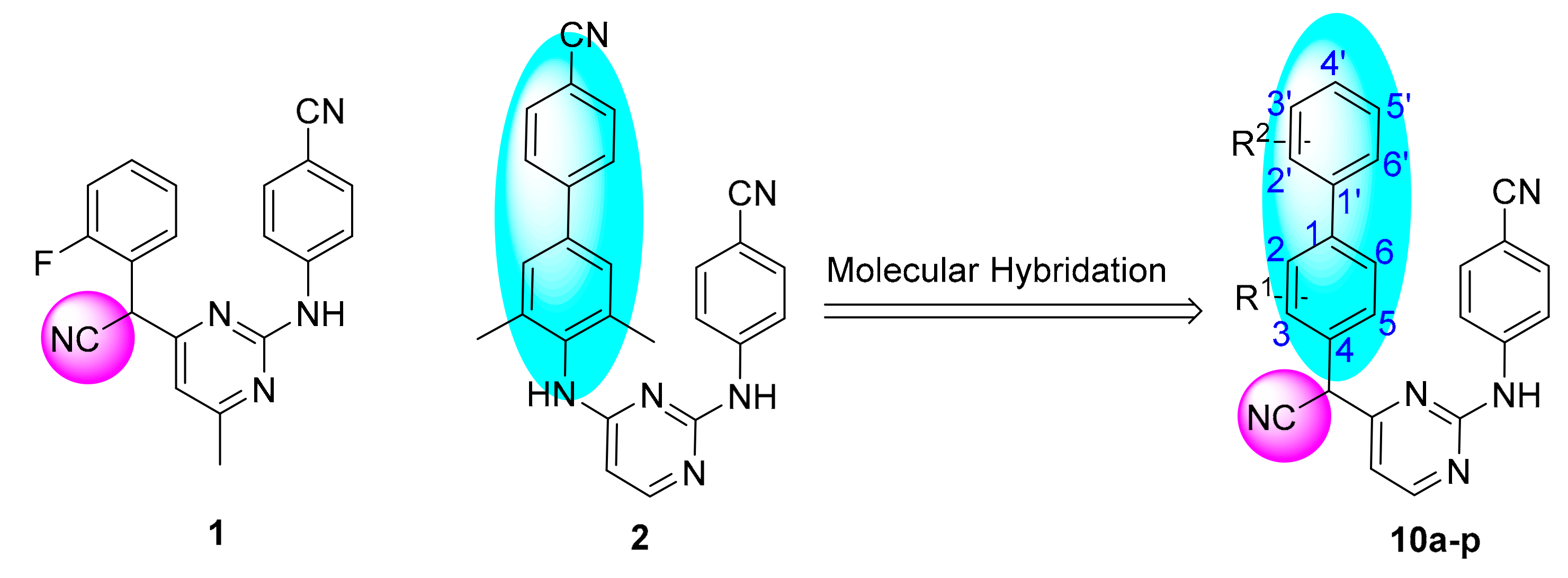 Molecules 25 01050 g002 Molecules 25 01050 g002