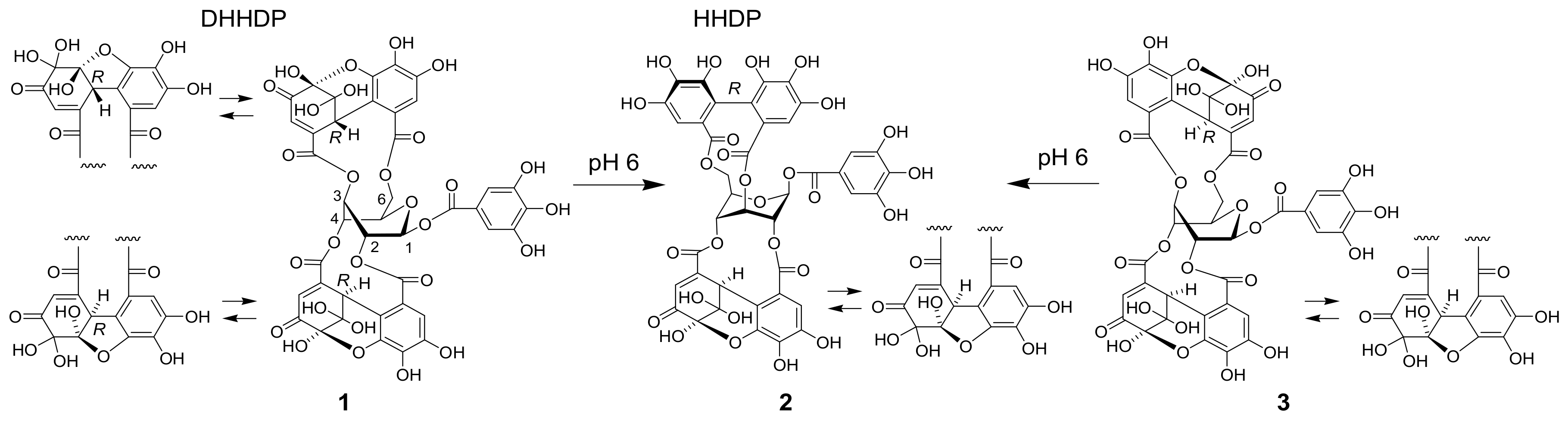 Molecules 25 01051 sch001