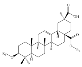Molecules 25 01059 i005 Molecules 25 01059 i005
