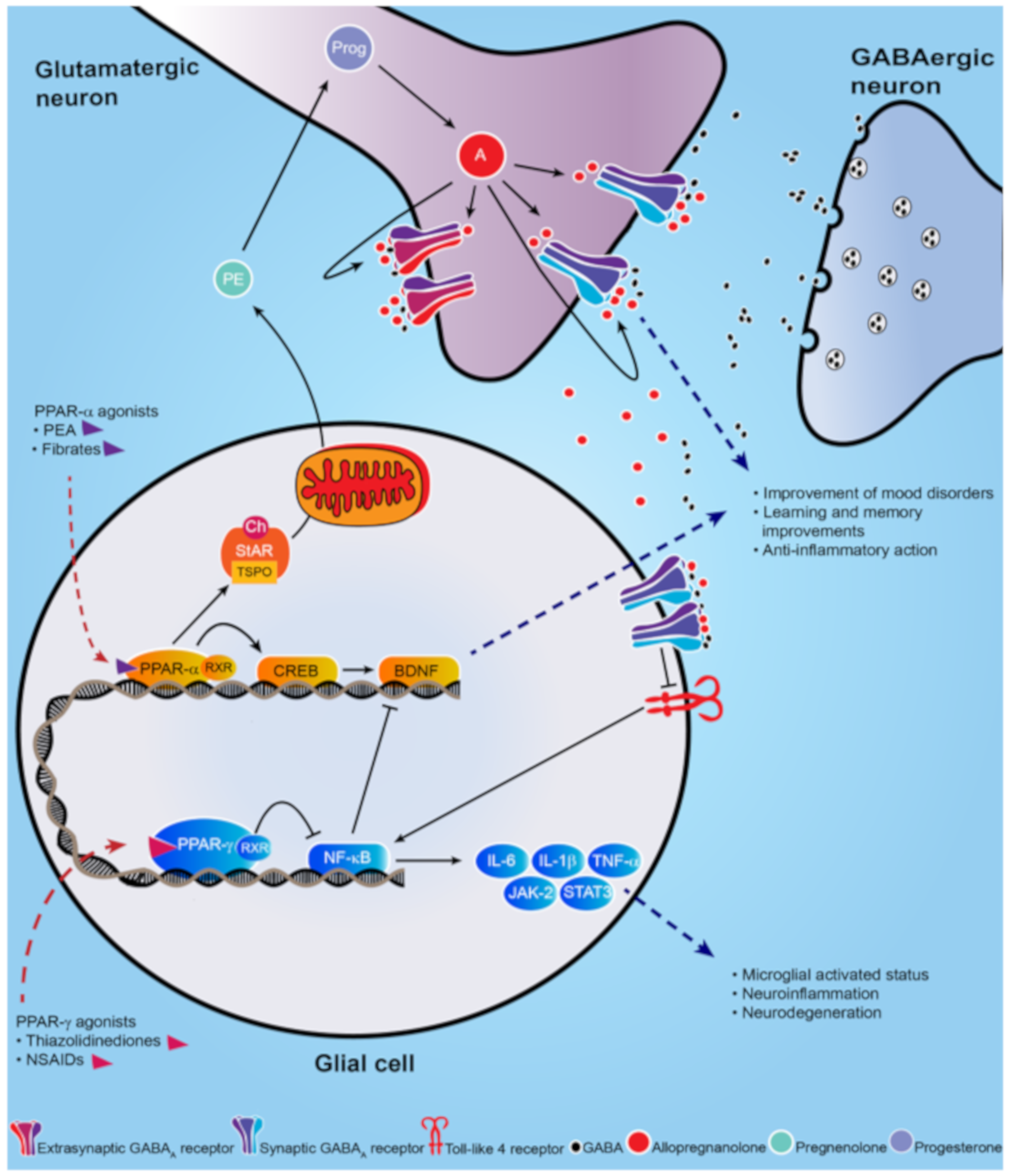 Molecules 25 01062 g001