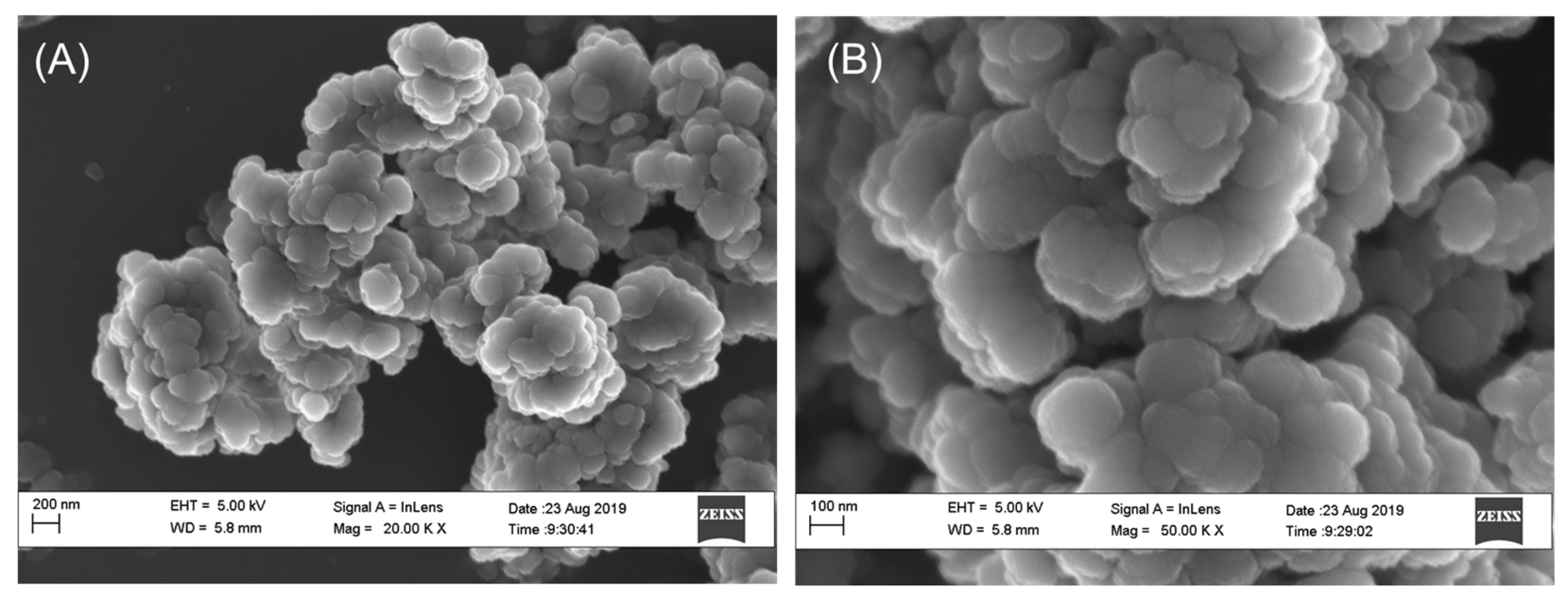 Molecules 25 01063 g001