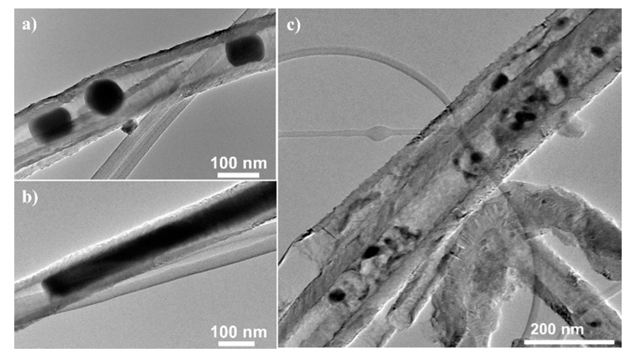 Molecules 25 01064 g015