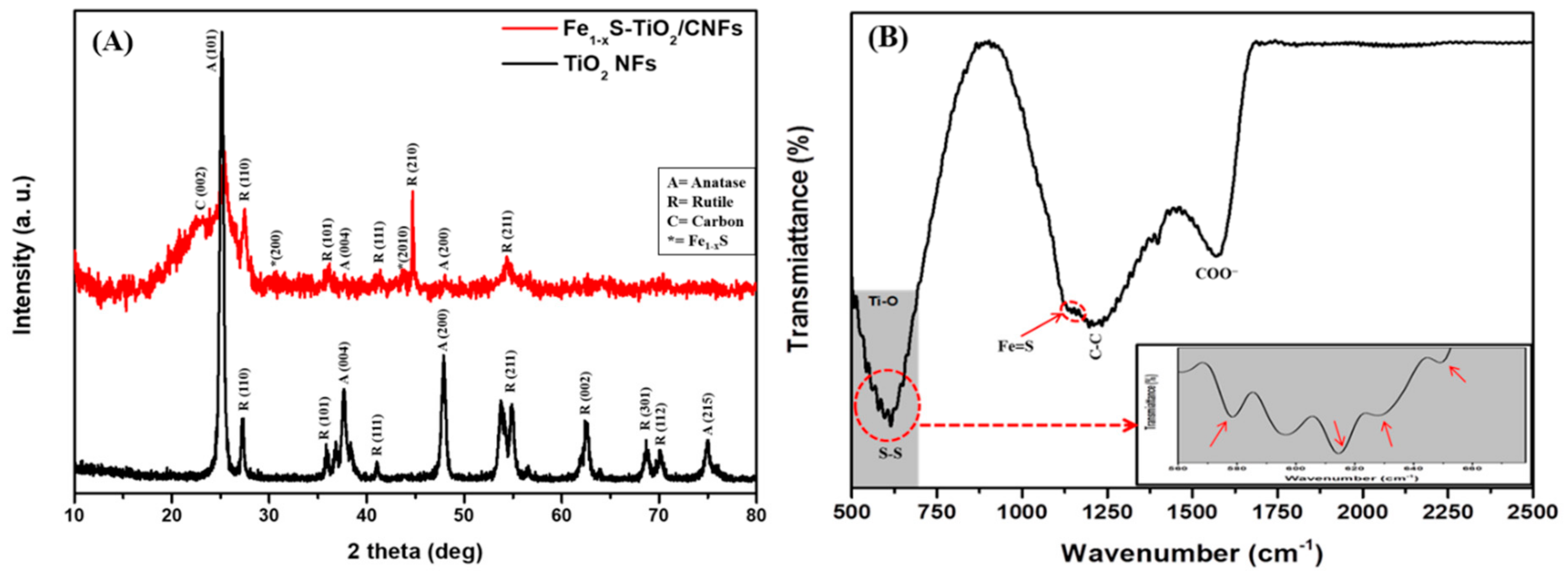 Molecules 25 01075 g003
