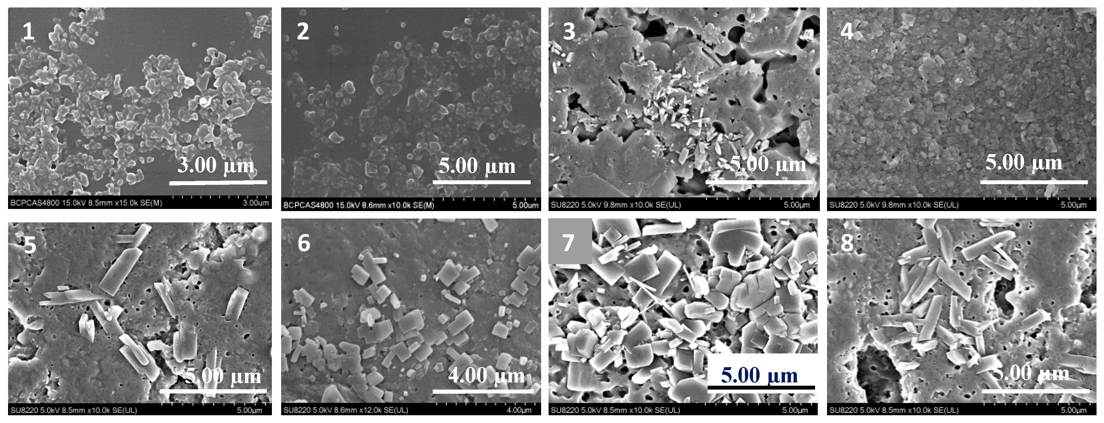 Molecules 25 01080 g001 Molecules 25 01080 g001