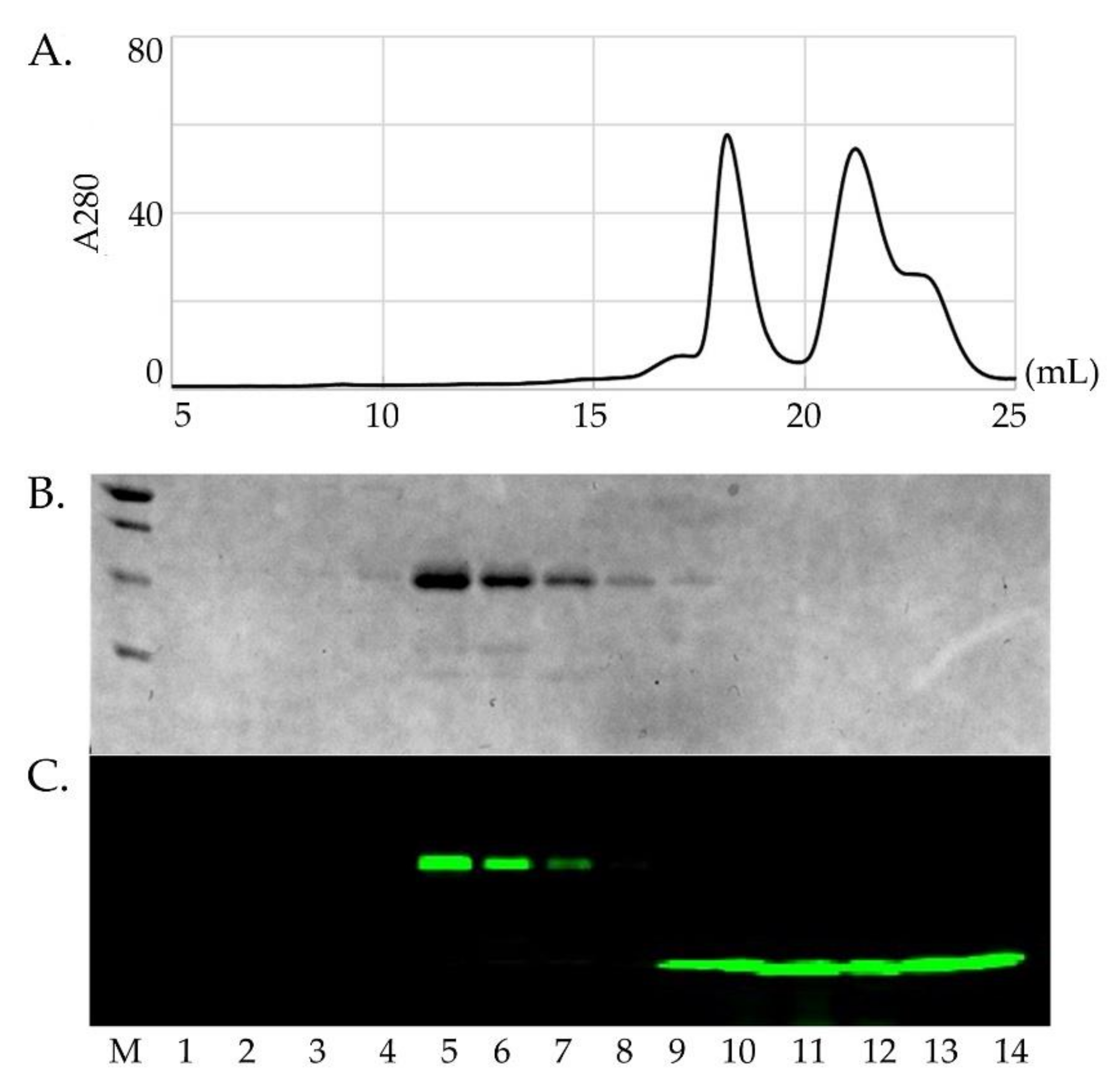 Molecules 25 01086 g002 Molecules 25 01086 g002